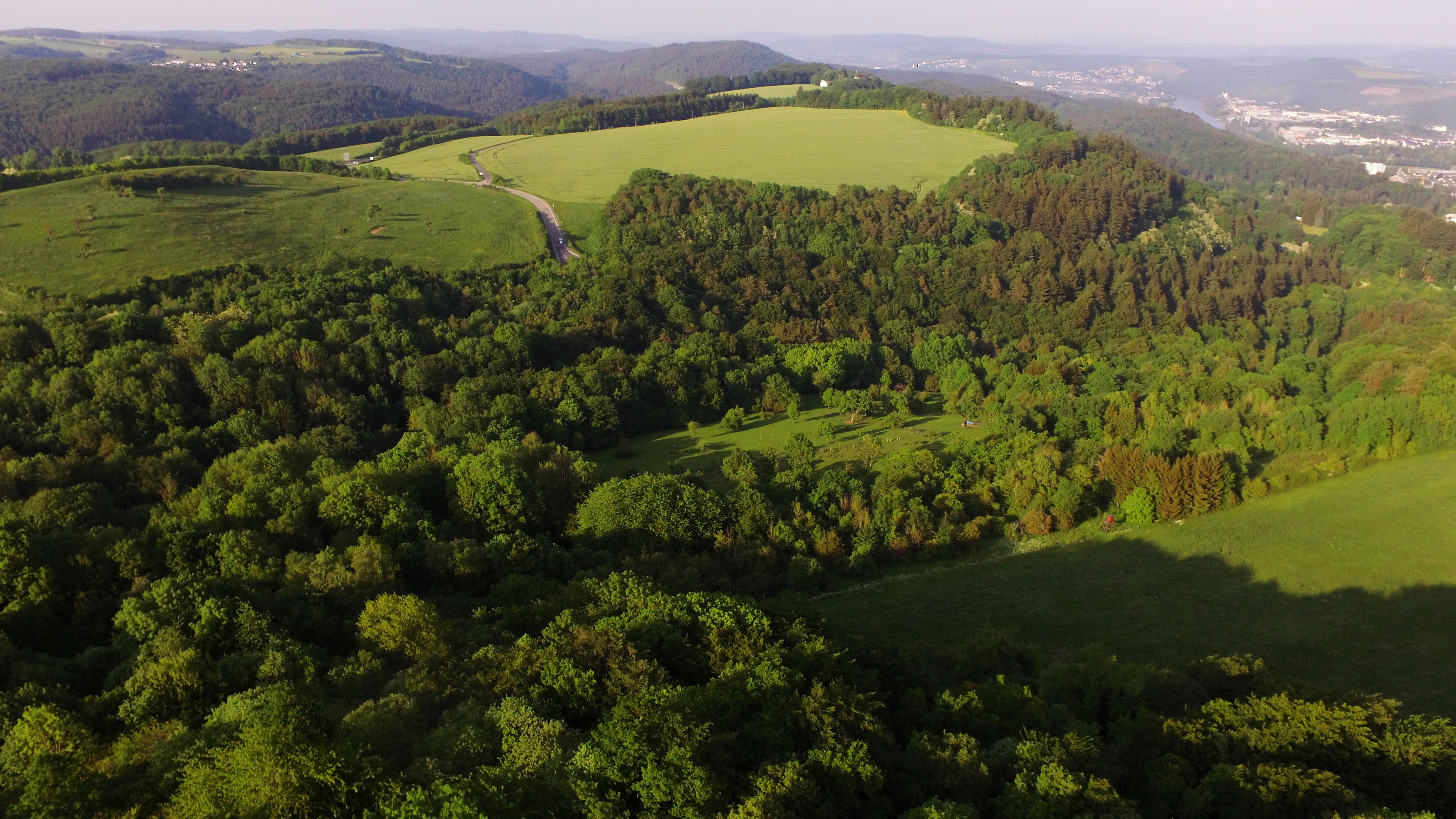 An aerial view showing a patchwork of lush green forest and open meadows under a clear sky, with rolling hills in the background.