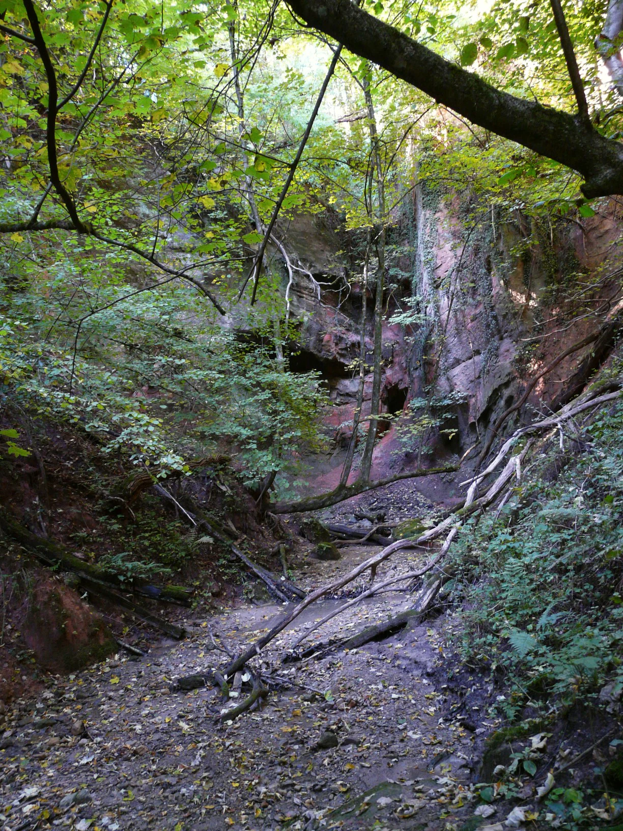 A view looking into a dry, rocky creek bed surrounded by steep, wooded slopes and exposed reddish rock formations in a forest.