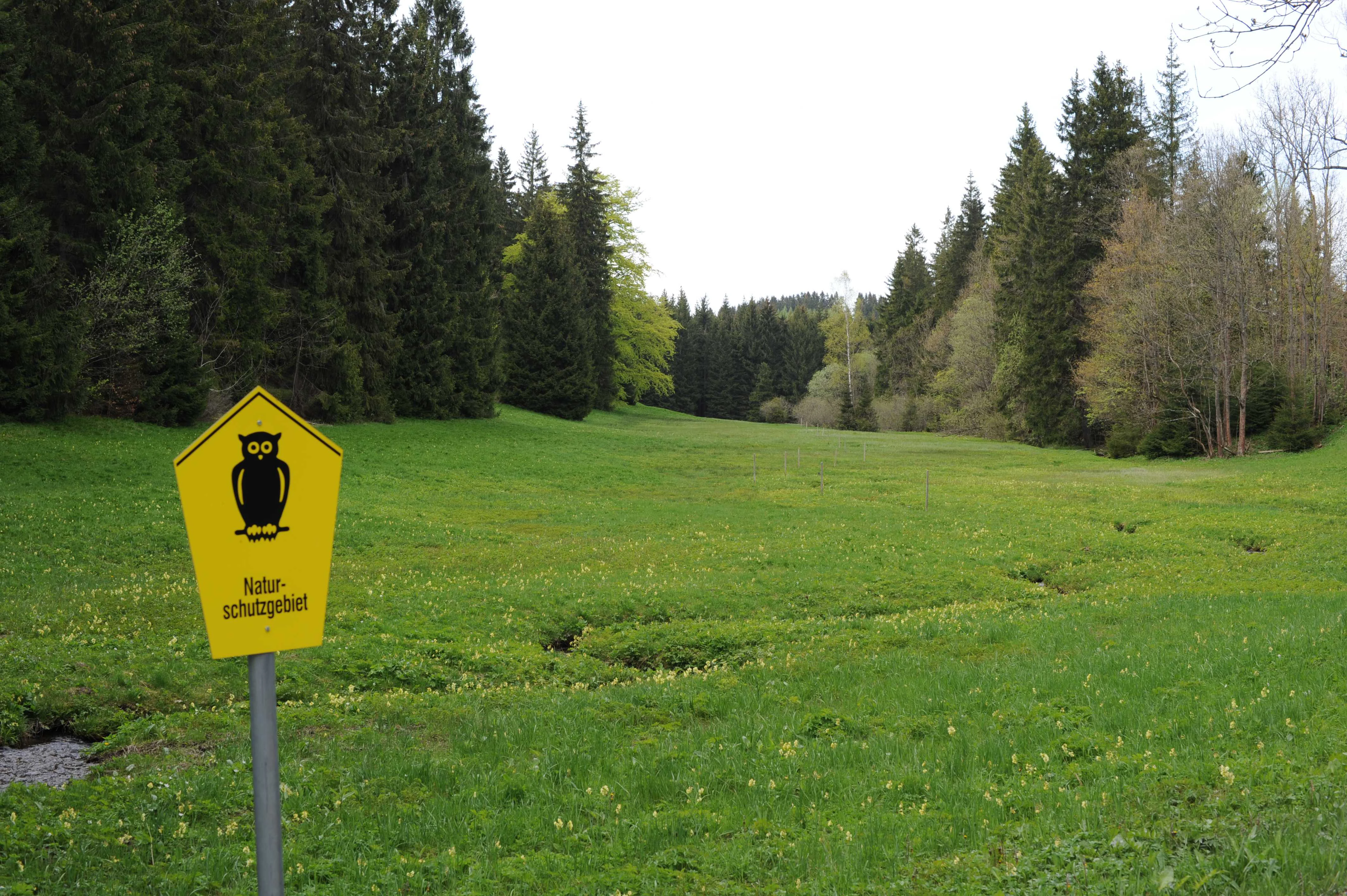 A yellow pentagonal nature reserve sign featuring a black owl silhouette stands in the foreground of a grassy valley with coniferous trees in the background.
