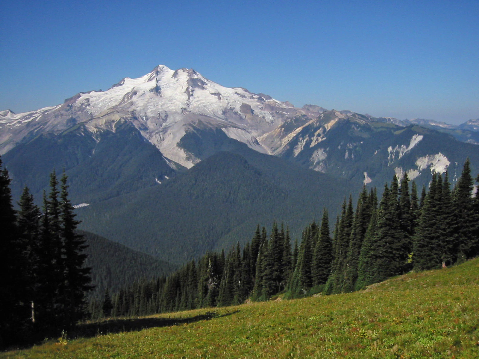 A wide angle view of the snow-capped, glaciated summit of Glacier Peak seen across a deep valley with coniferous forest slopes and a grassy meadow in the foreground.