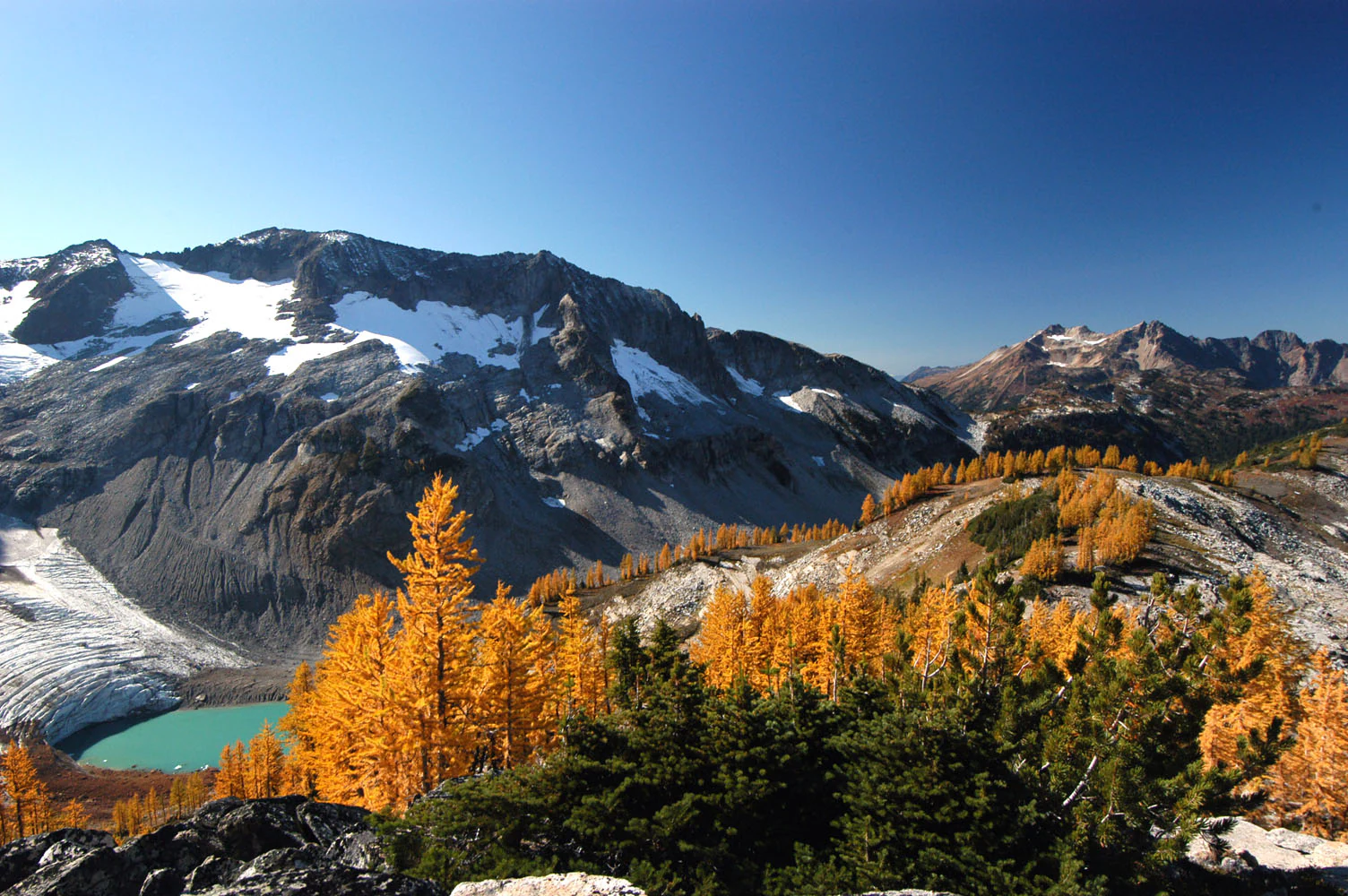 A wide mountain landscape featuring a bright turquoise glacial lake, a snow-covered glacier, and rugged peaks, with golden-yellow subalpine larch trees in the foreground and midground.