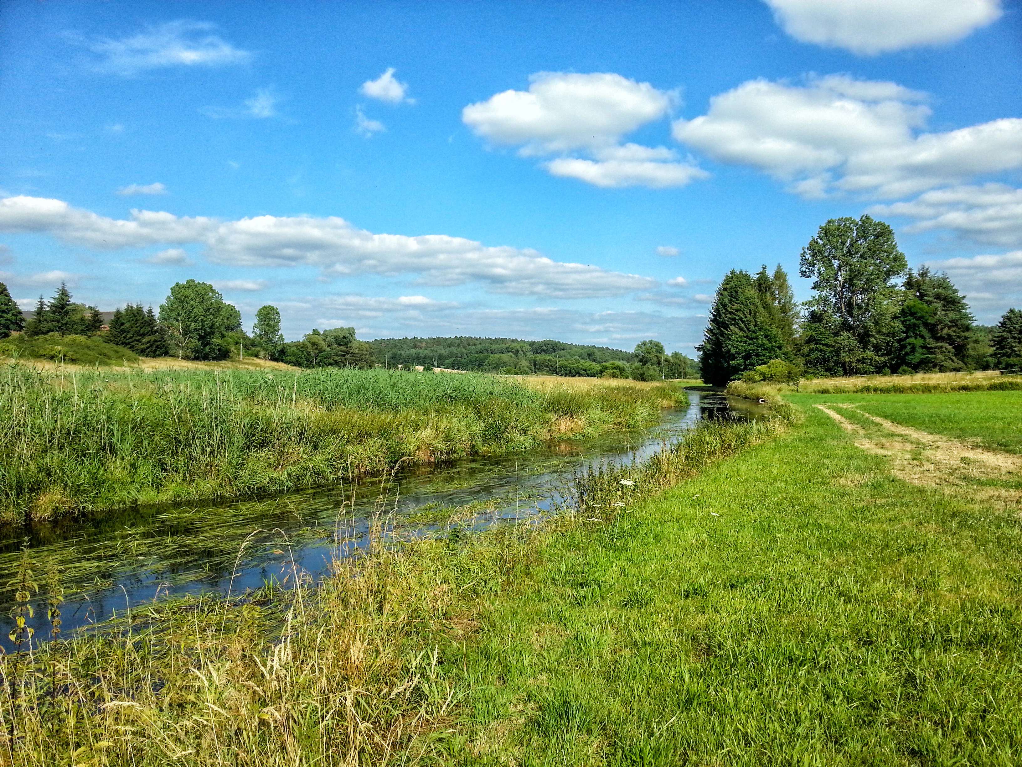 A narrow river winds through lush green wetlands and meadows under a bright blue sky with scattered clouds, with forested hills in the background.