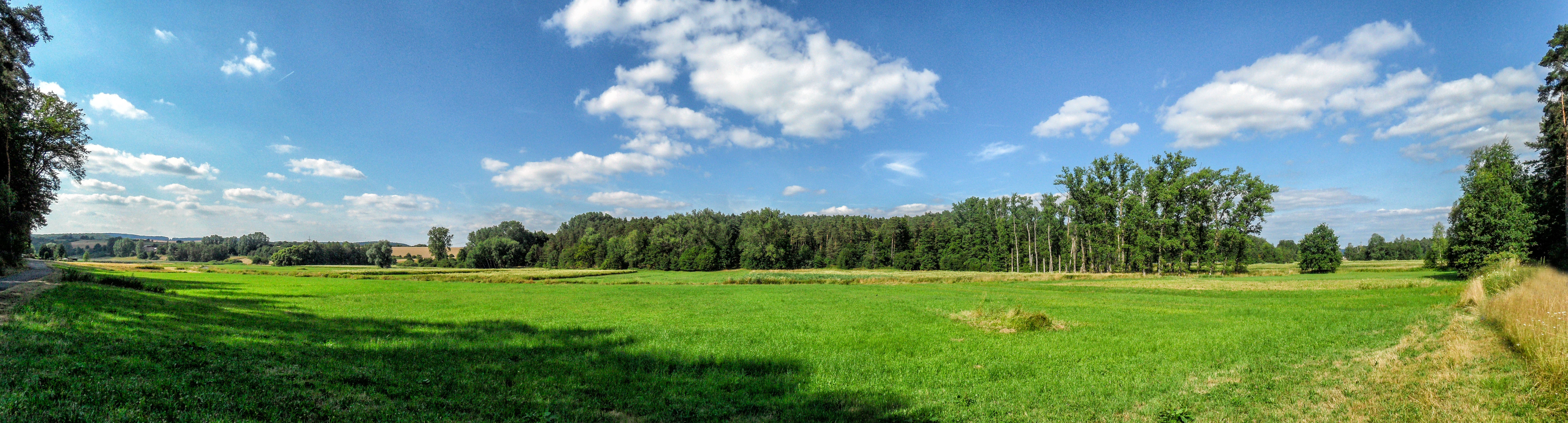 Panoramic landscape view of a green floodplain meadow with a line of trees in the middle distance under a blue sky with scattered clouds.
