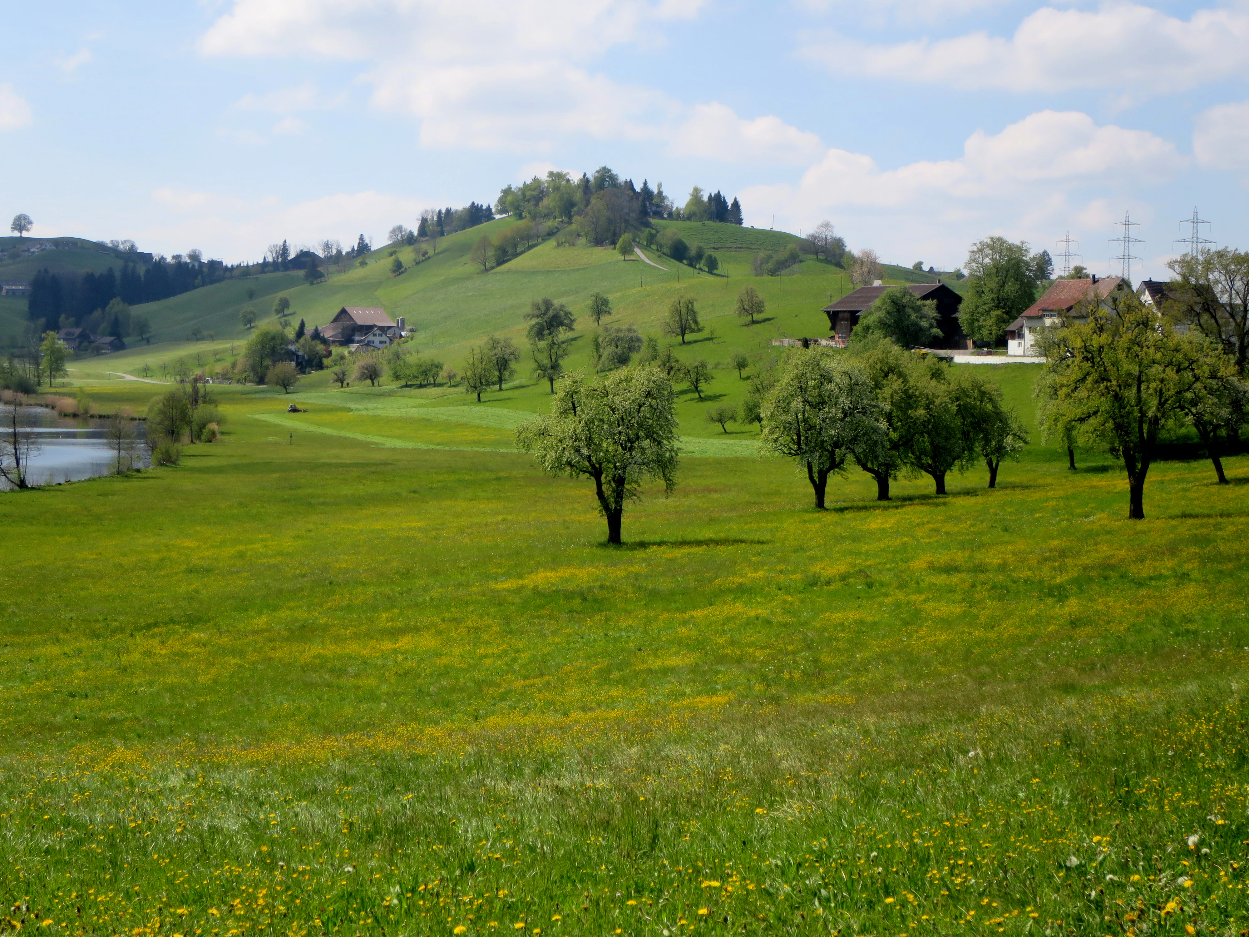 A wide view of a rolling green Swiss landscape with scattered trees, a small lake on the left, and traditional farm buildings nestled in the hillside.