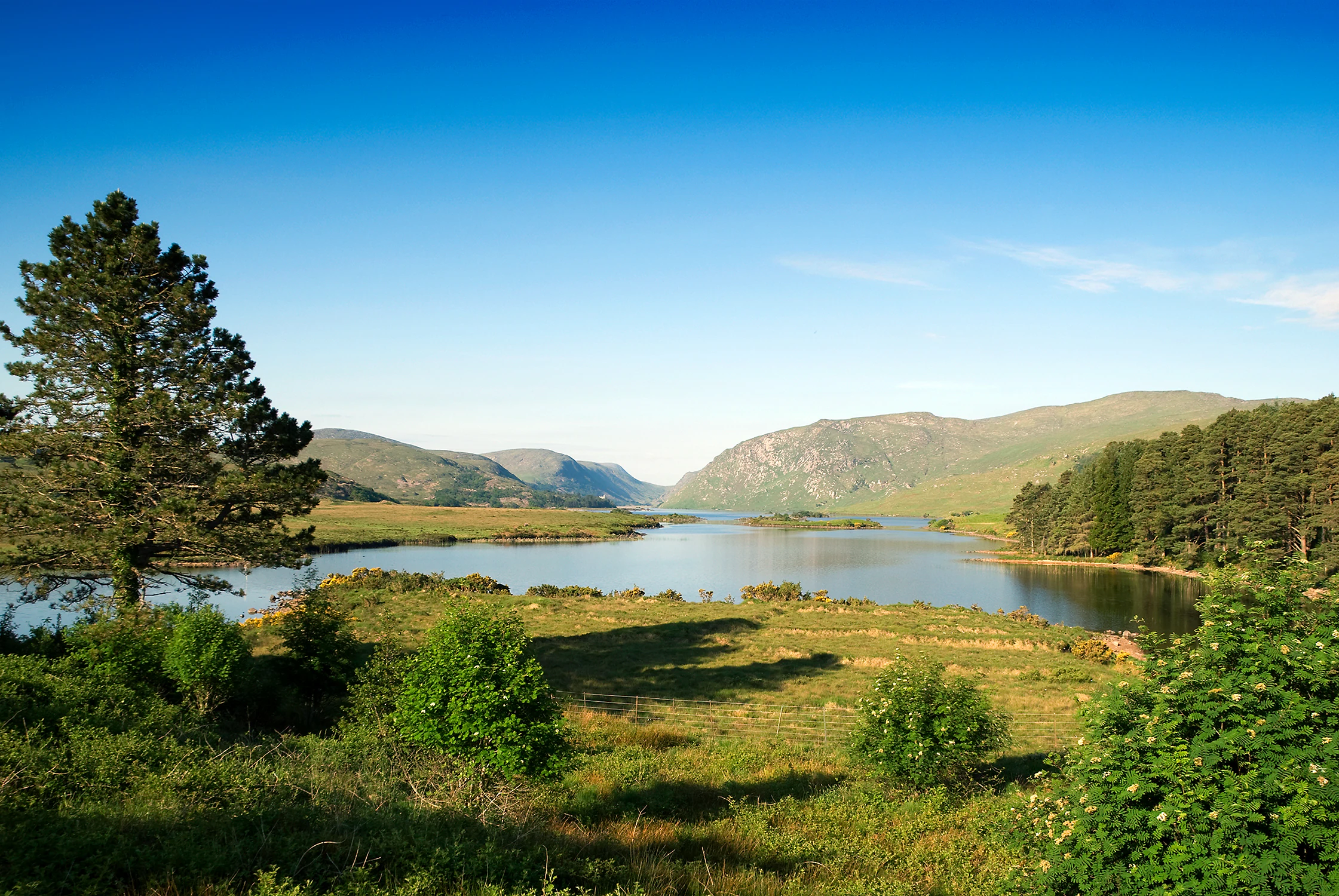 A lake surrounded by green hills and trees under a clear blue sky.