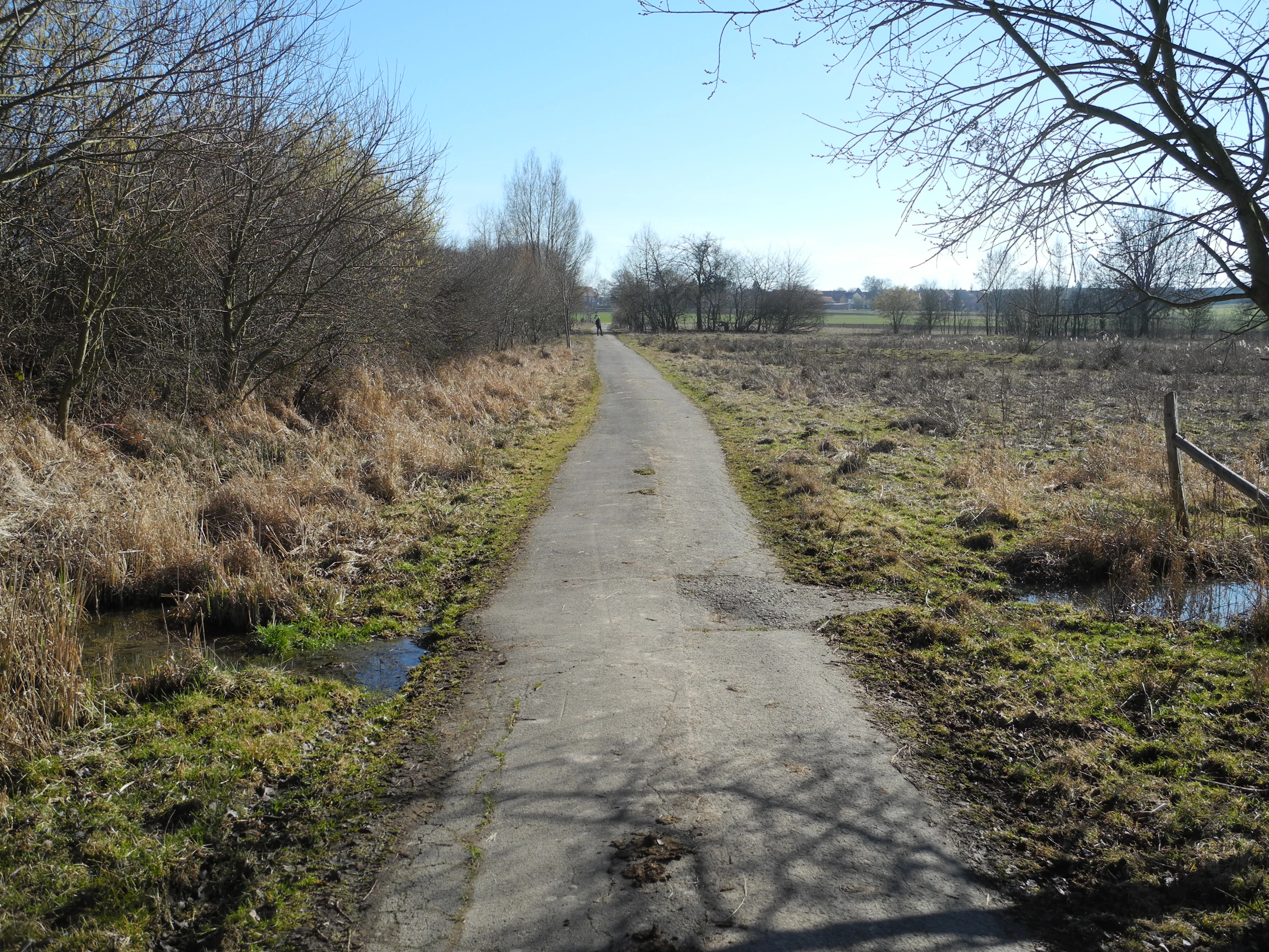 A narrow, straight paved path extending into the distance through a flat, rural landscape with shrubs, dormant grasses, and small patches of standing water.