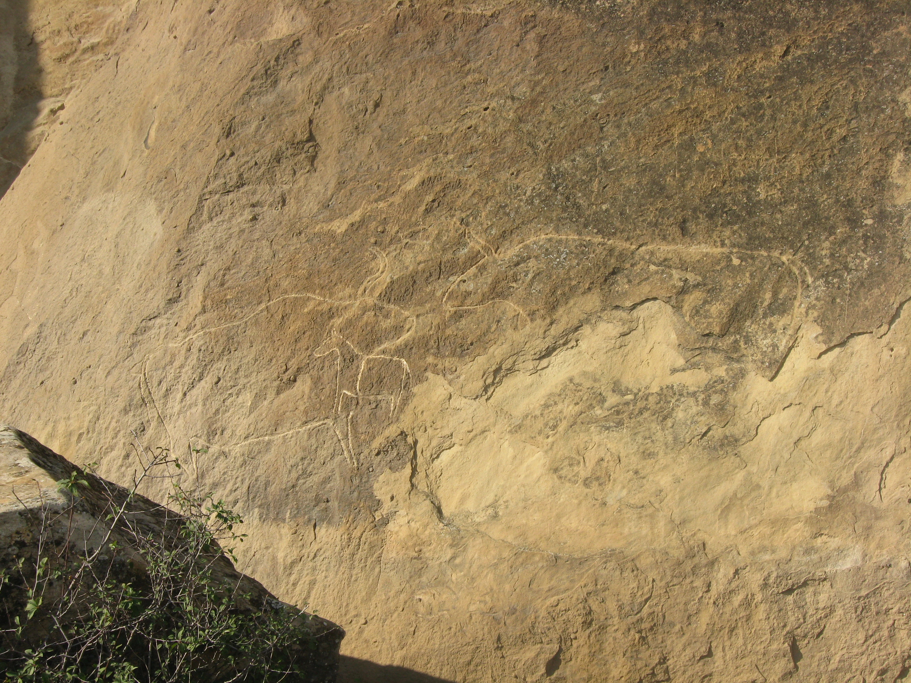 Antiguo grabado rupestre o petroglifo que representa un animal, probablemente un búfalo, tallado en una superficie vertical de roca marrón en Gobustán.