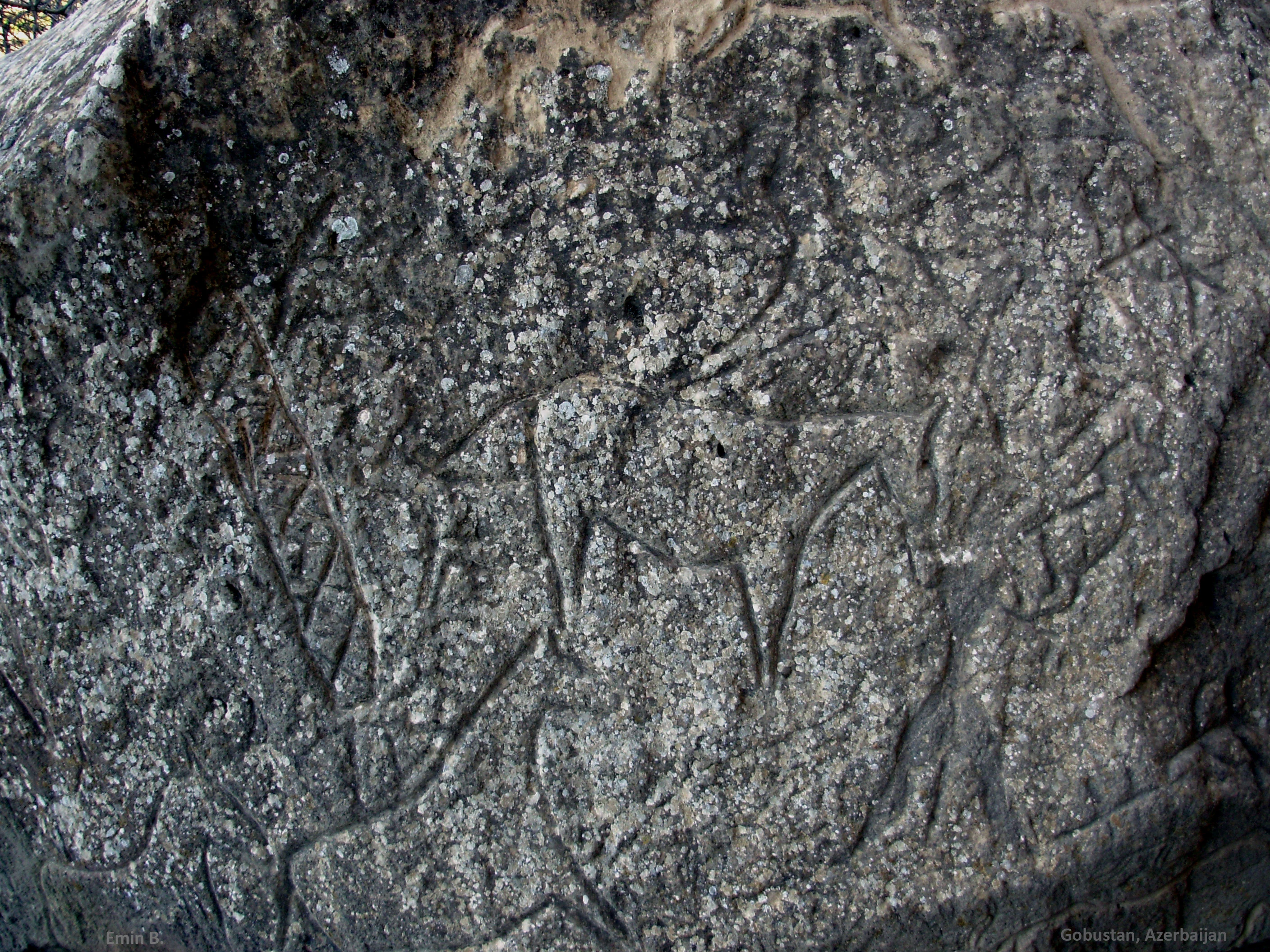 Primer plano de una superficie de piedra erosionada con petroglifos tallados y tenues de animales y figuras similares a las humanas.