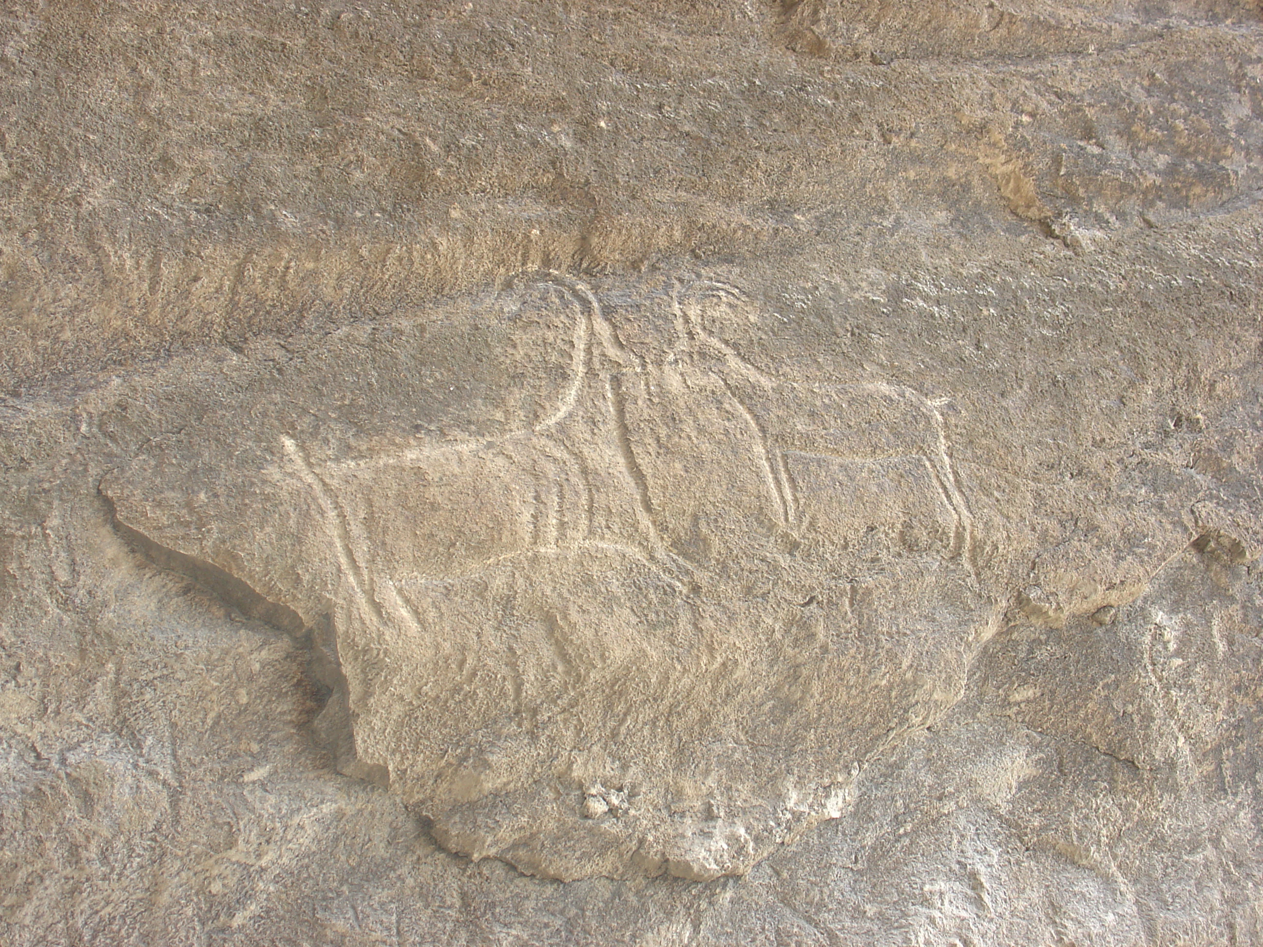 Antiguos grabados rupestres que muestran dos animales, probablemente íbices, tallados en una superficie de piedra rugosa en la Reserva Estatal de Gobustán.