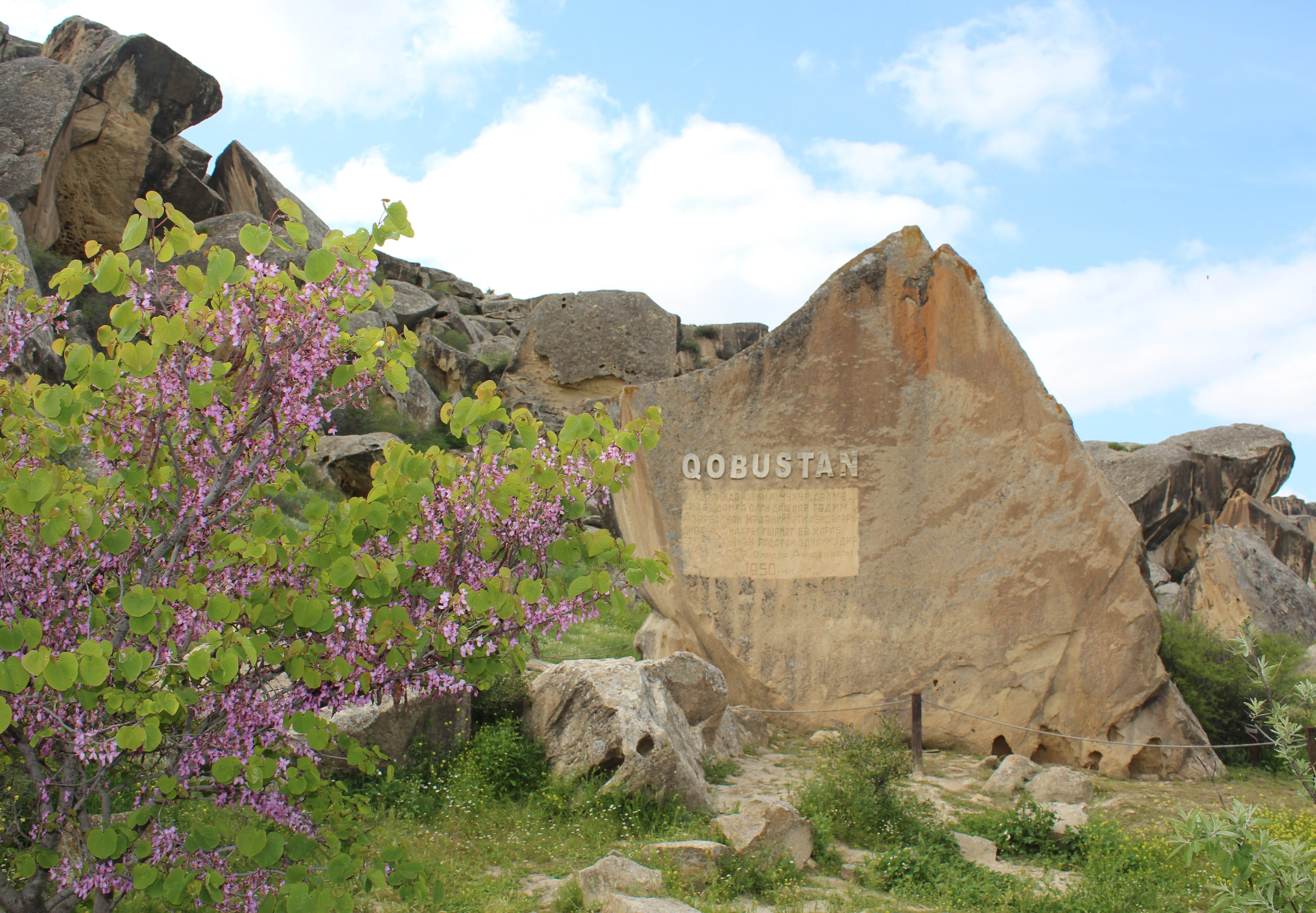 Una gran roca con la palabra QOBUSTAN tallada en su superficie, rodeada de árboles en flor y un paisaje rocoso.