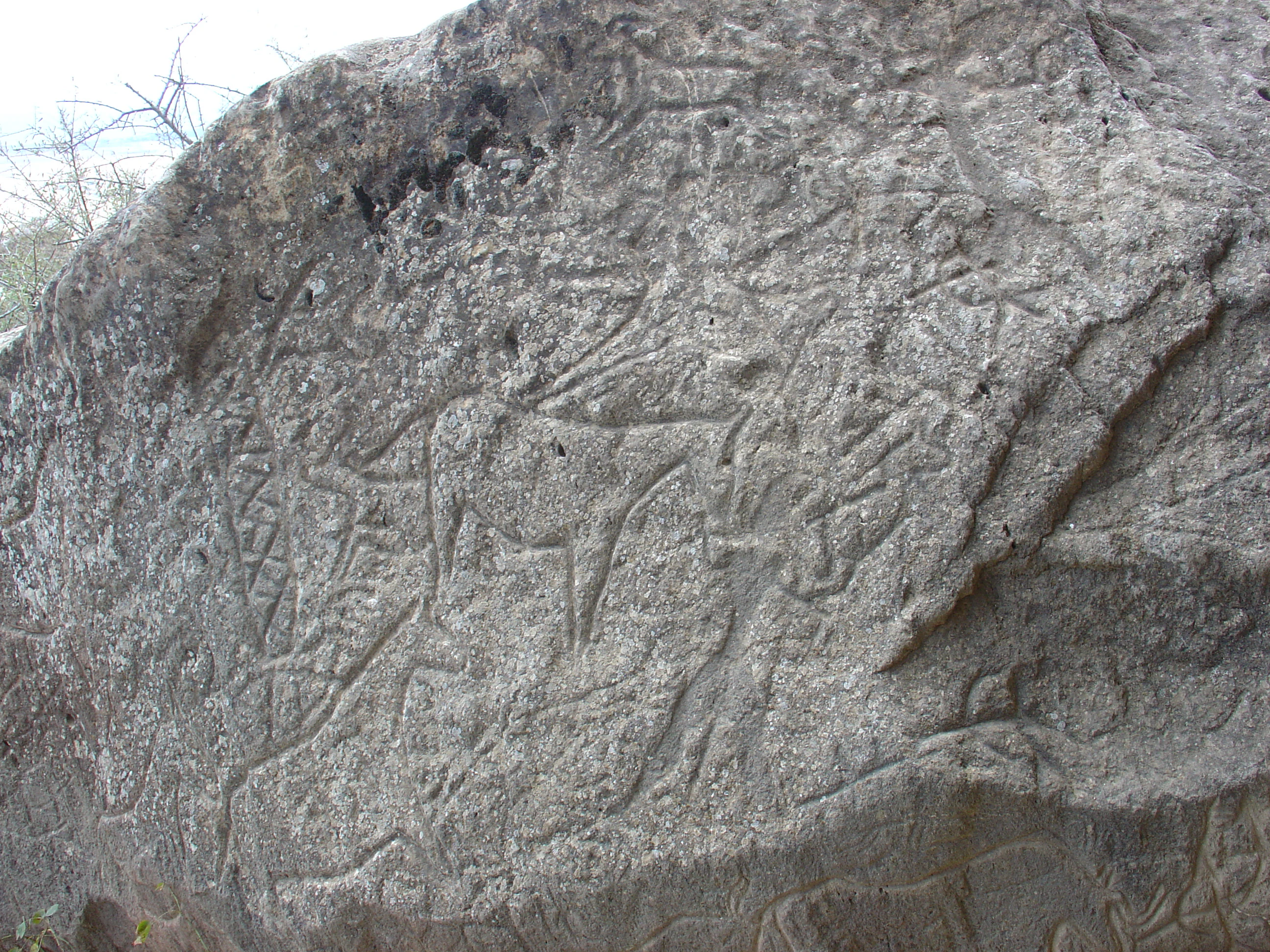 Una vista de cerca de una antigua superficie de roca gris cubierta de petroglifos tallados que representan animales y formas humanoides.