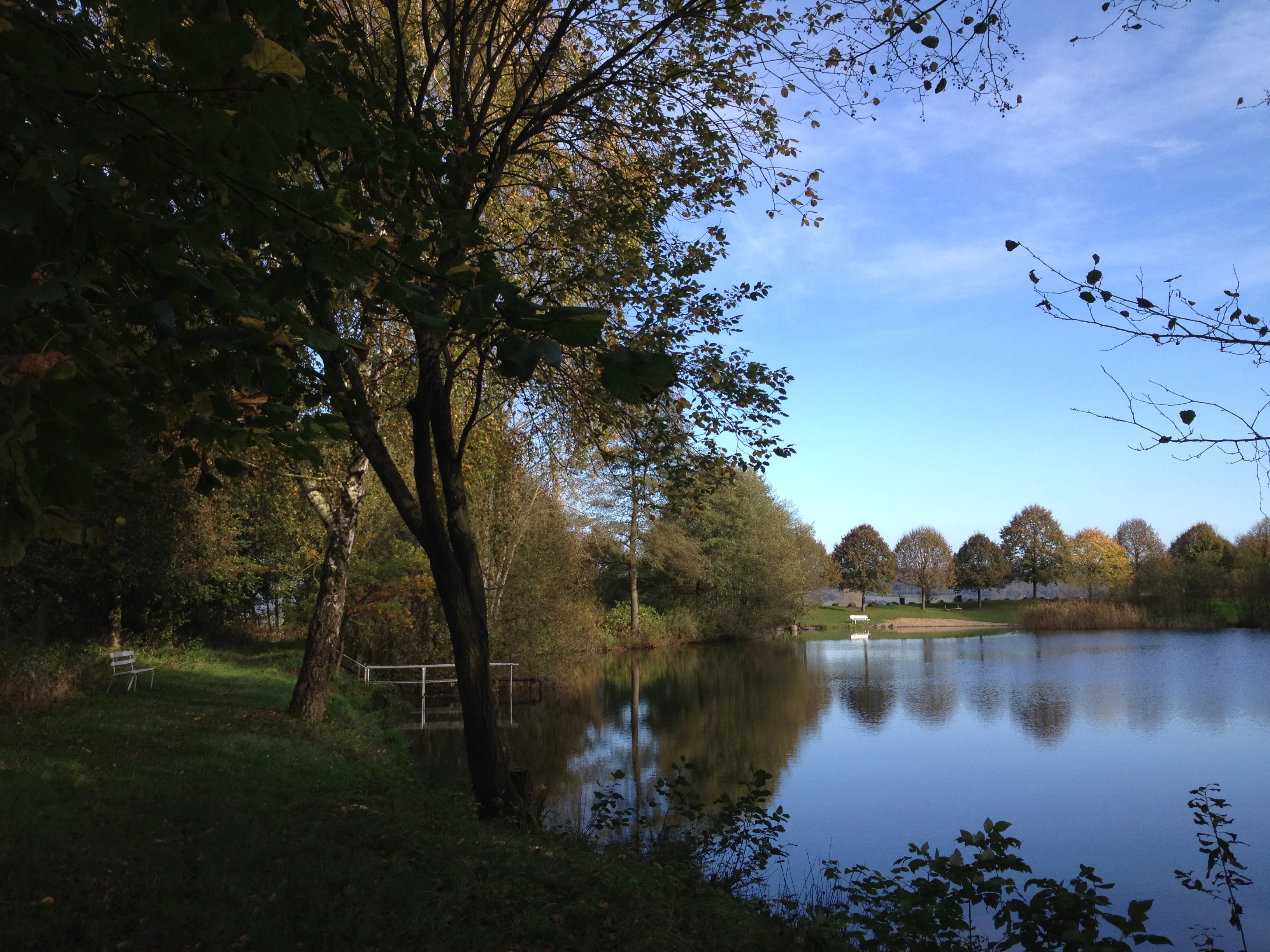A calm lake reflecting a clear blue sky, bordered by leafy trees and a grassy bank with a small wooden structure.
