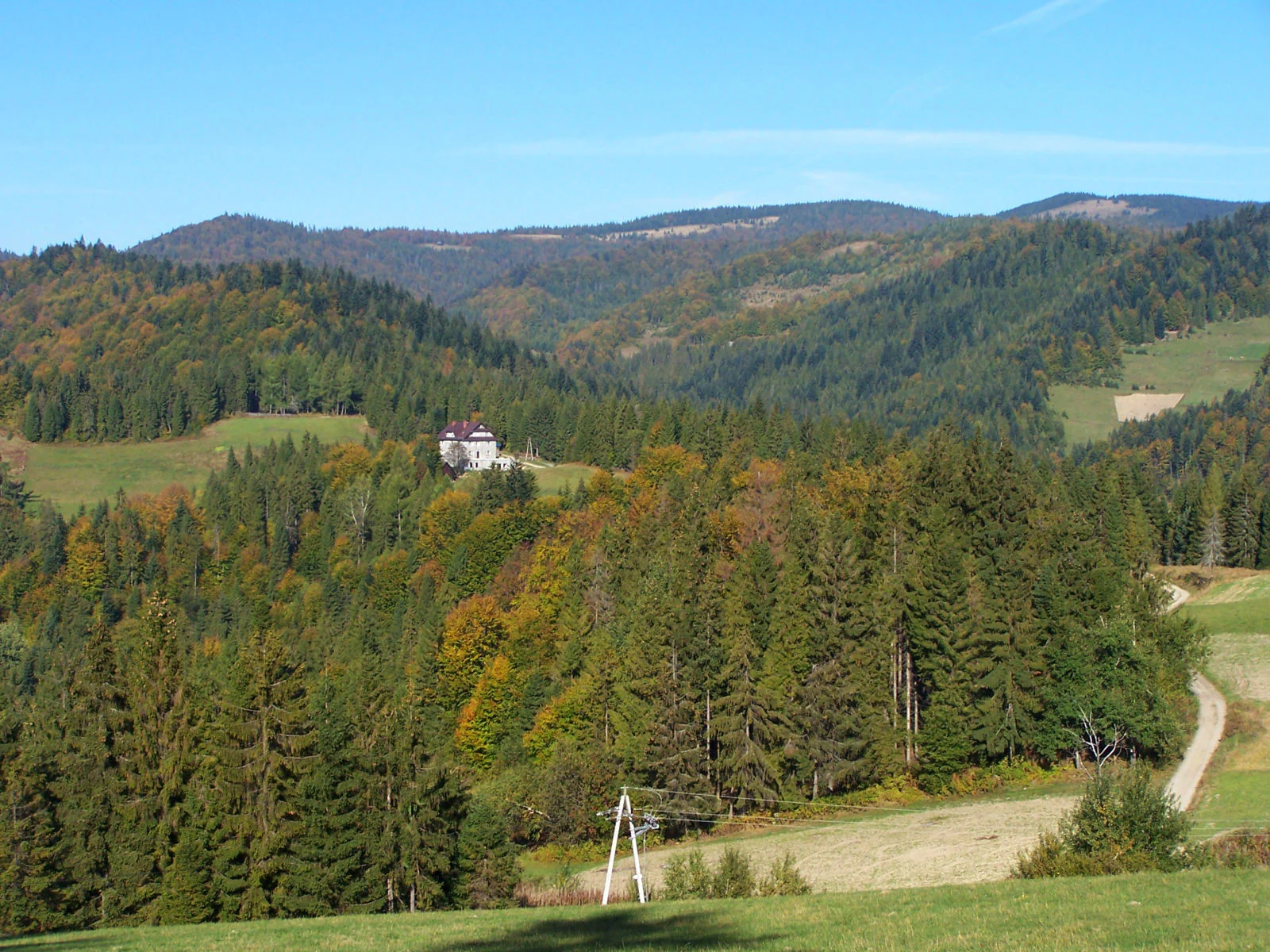 Una vista amplia de montañas onduladas cubiertas de densos bosques de coníferas y caducifolios durante el otoño, con claros herbáceos dispersos y un único edificio enclavado en una ladera.