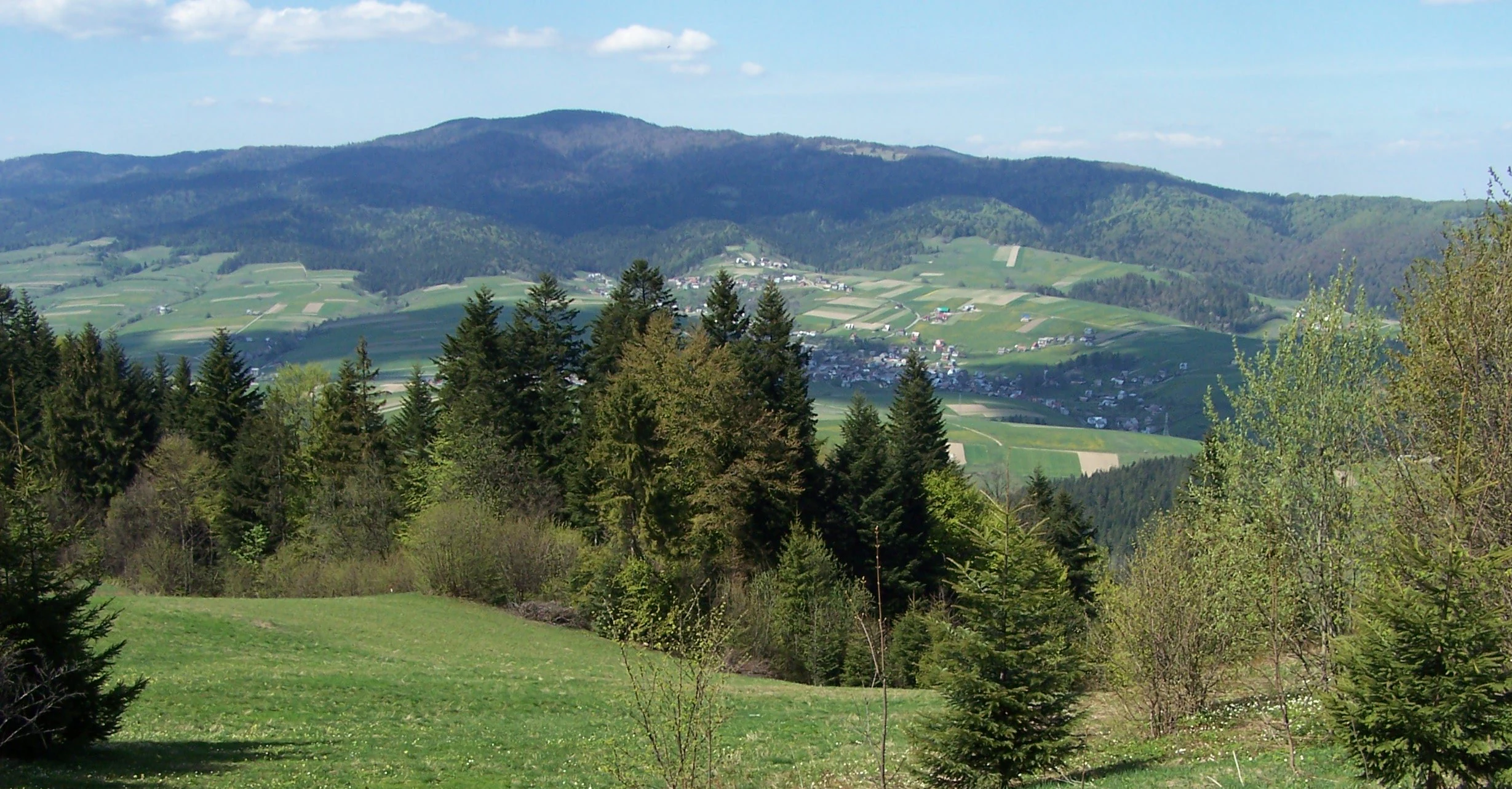A scenic mountain landscape featuring dense forests, rolling green valleys, and distant mountain ridges under a clear blue sky