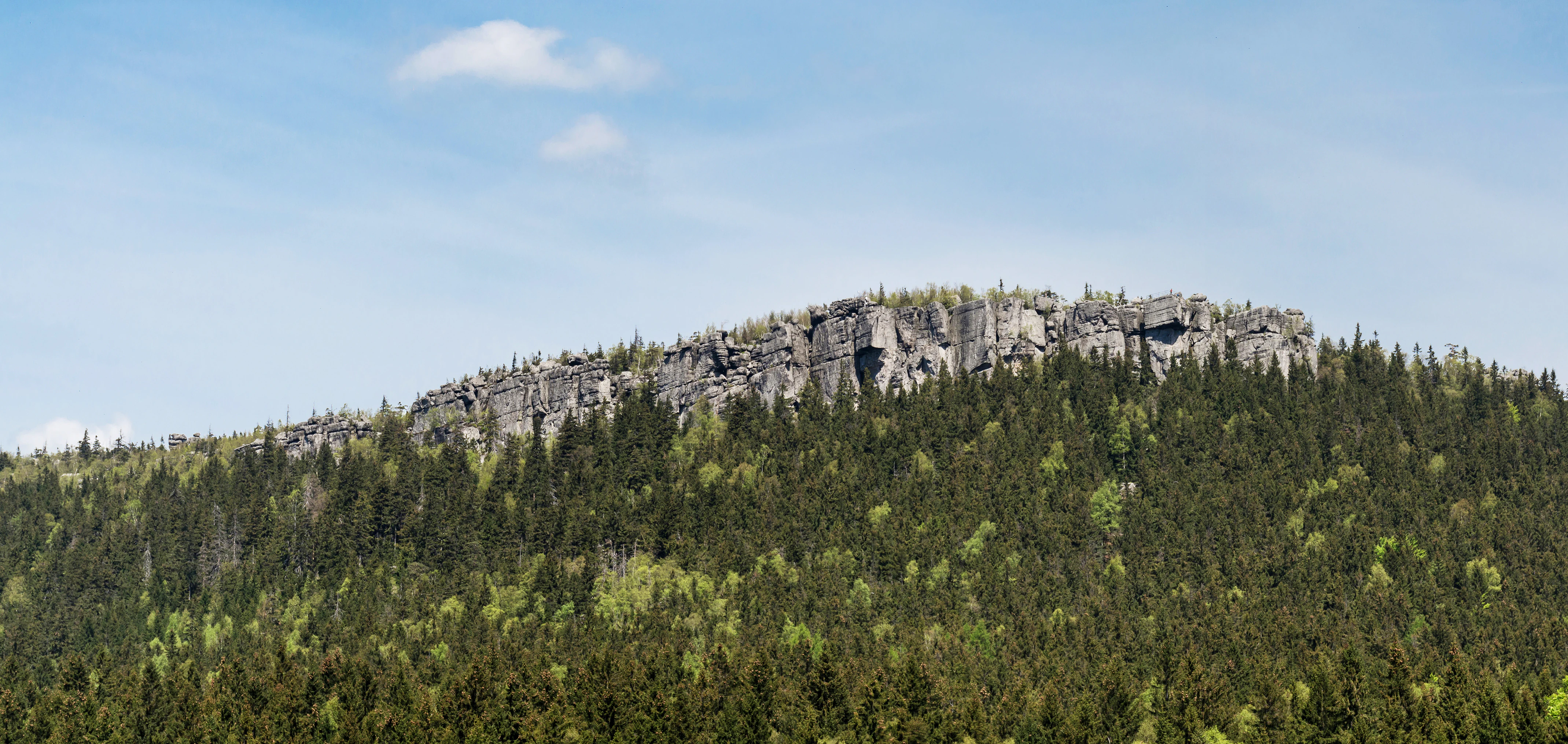 A wide shot of a forested mountain slope topped with a jagged sandstone cliff face under a blue sky.