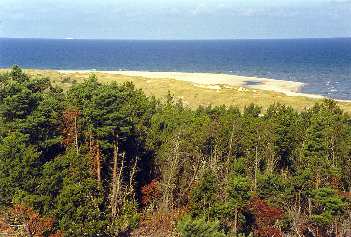 Panoramic landscape of Gotska Sandön National Park with pine forest in foreground, sand dunes and beach, and Baltic Sea under a partly cloudy sky