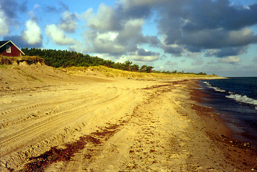 Sandy beach with tire tracks and seaweed, coastal waters, red house, trees on dunes, partly cloudy sky