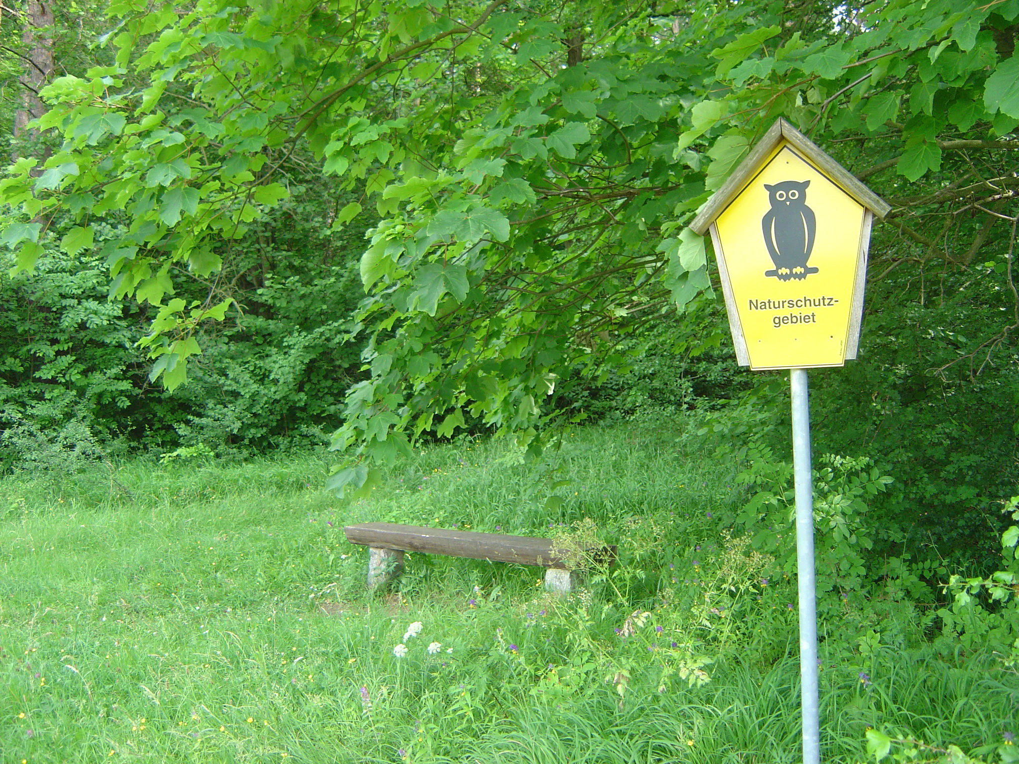 A yellow, house-shaped nature reserve sign with an owl icon and the text Naturschutzgebiet, standing on a pole in front of a forest with a wooden bench nearby.