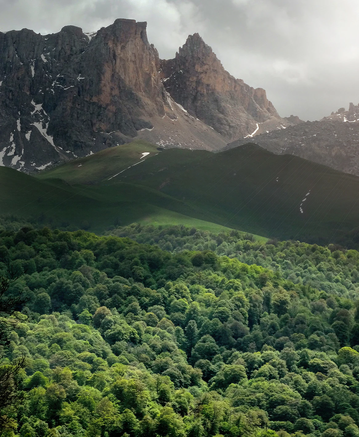 Rugged mountain peaks with patches of snow and dense green forest in the foreground