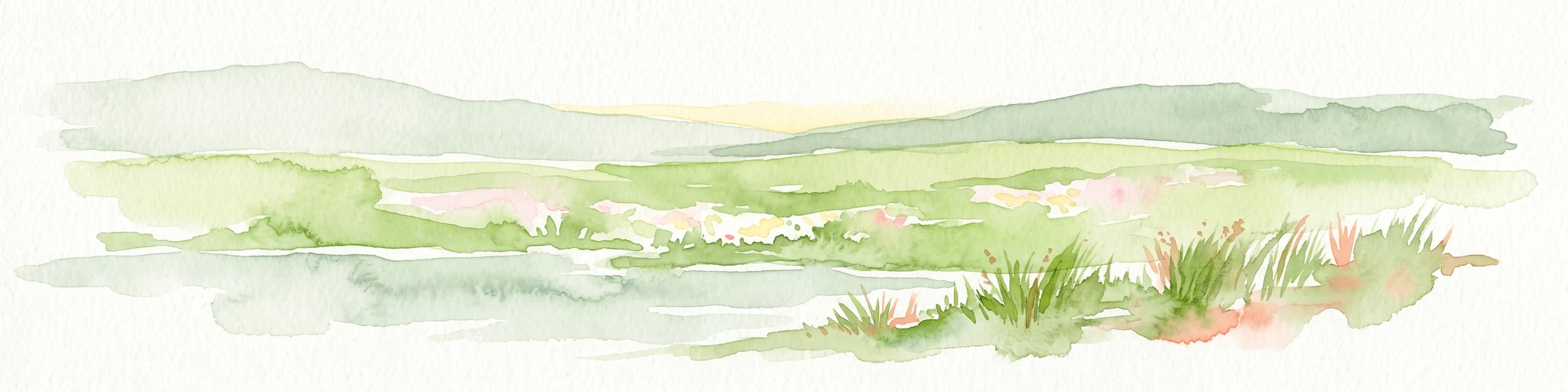 Una amplia ilustración de acuarela que representa un paisaje de humedal verde con carrizales, pastos y colinas distantes bajo un cielo pálido.