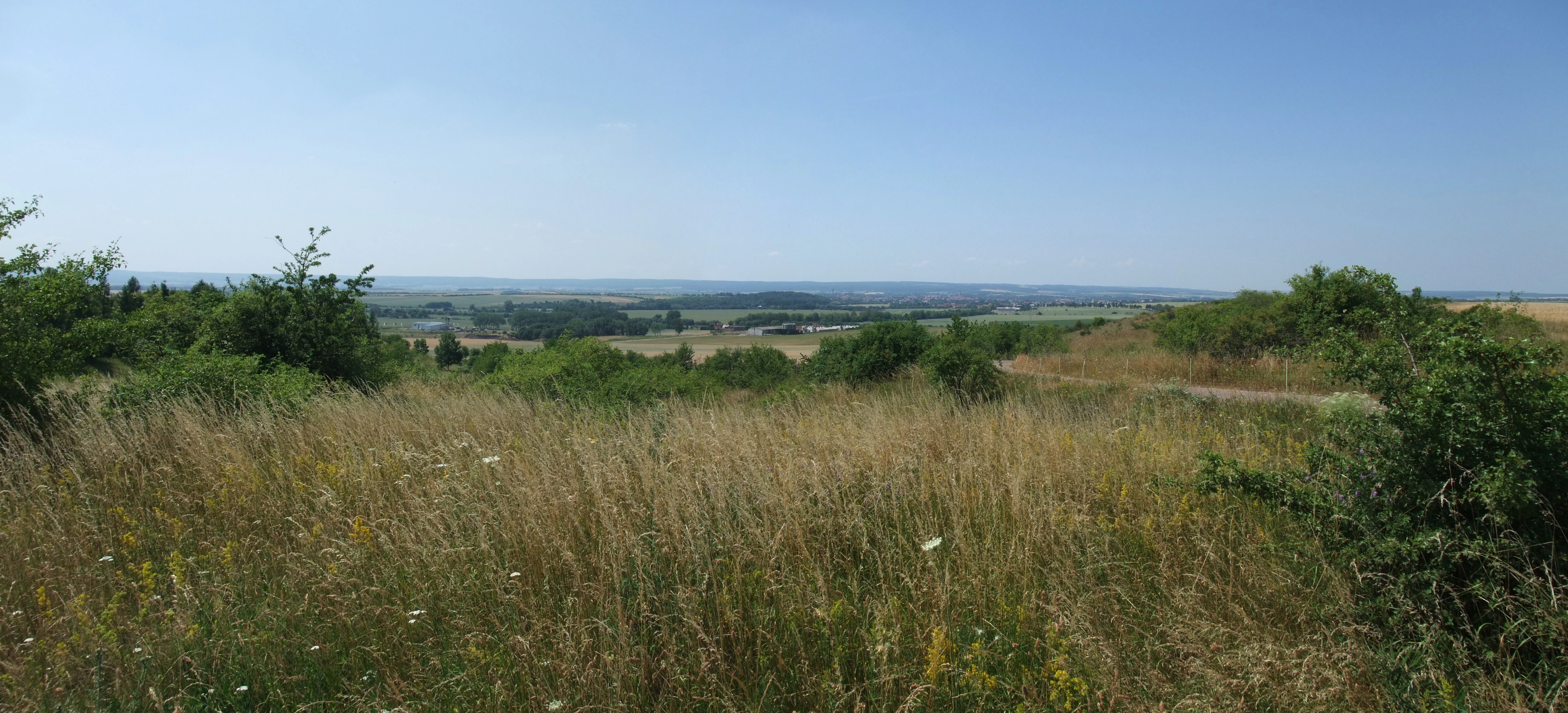 A wide, eye-level panoramic shot of a rural landscape with golden grasses and scattered shrubs in the foreground, looking out over rolling fields toward a distant, hazy horizon under a clear blue sky.