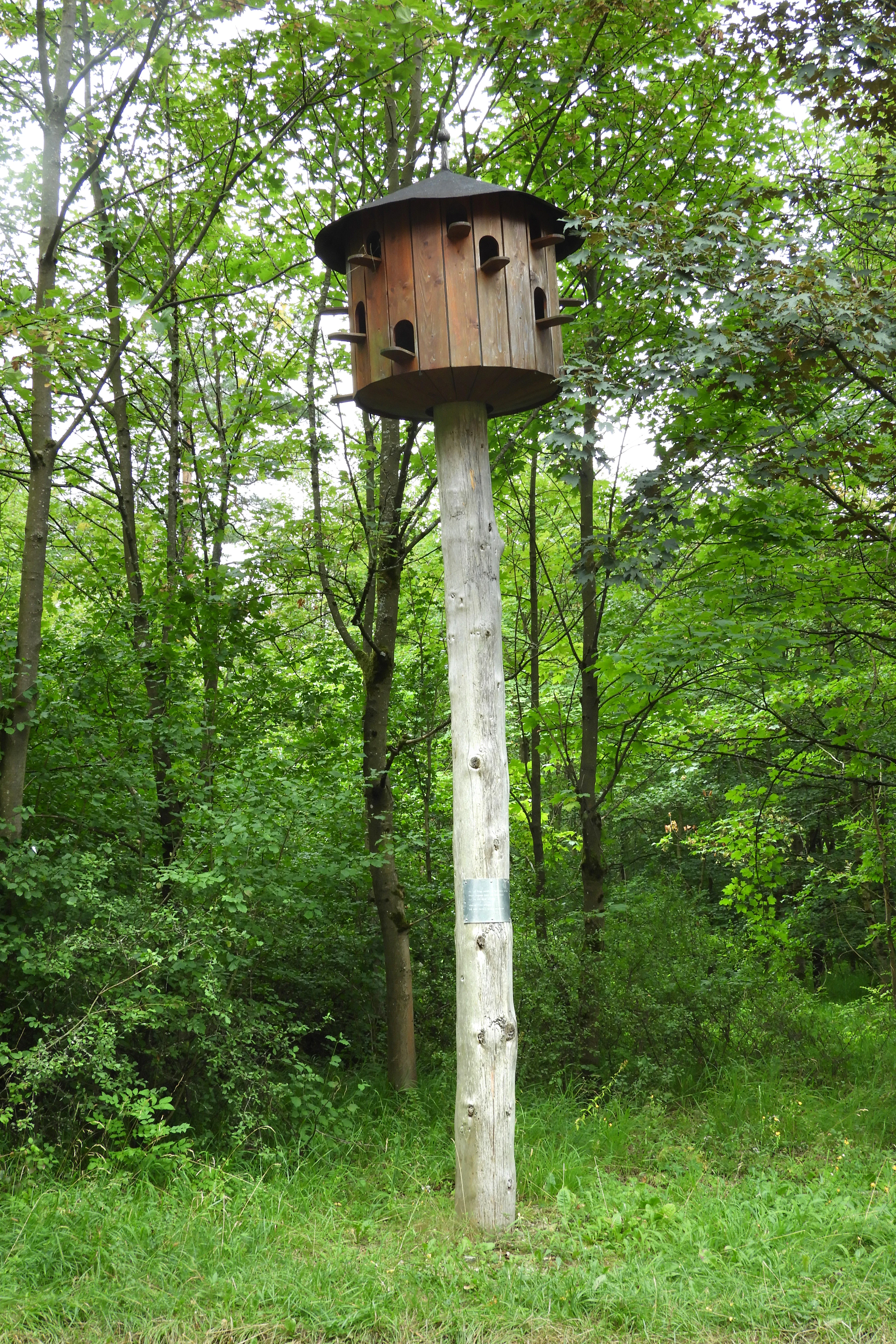 A tall wooden pole supporting a large, multi-compartment wooden birdhouse with a dark roof, standing in a green forest clearing.