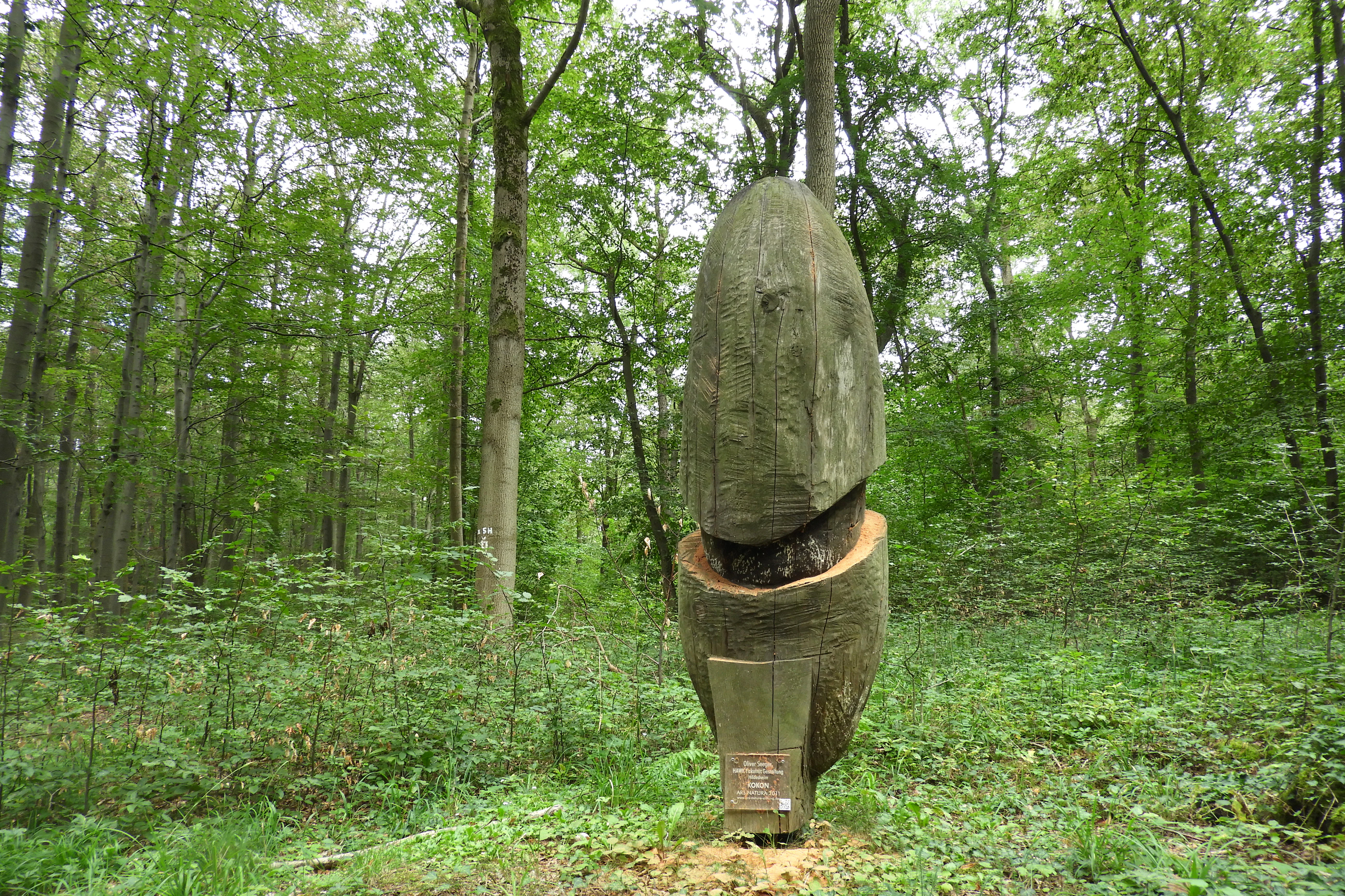 A large wooden sculpture resembling a split seed pod stands on a forest floor surrounded by green trees and undergrowth.
