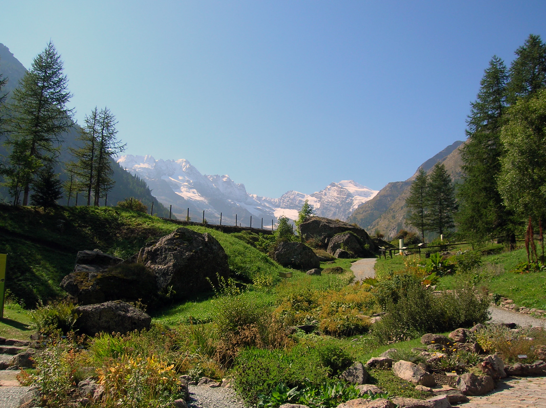 Grassy alpine garden with rocks and wildflowers in the foreground, a dirt path, and snow-capped mountains in the background under a clear blue sky