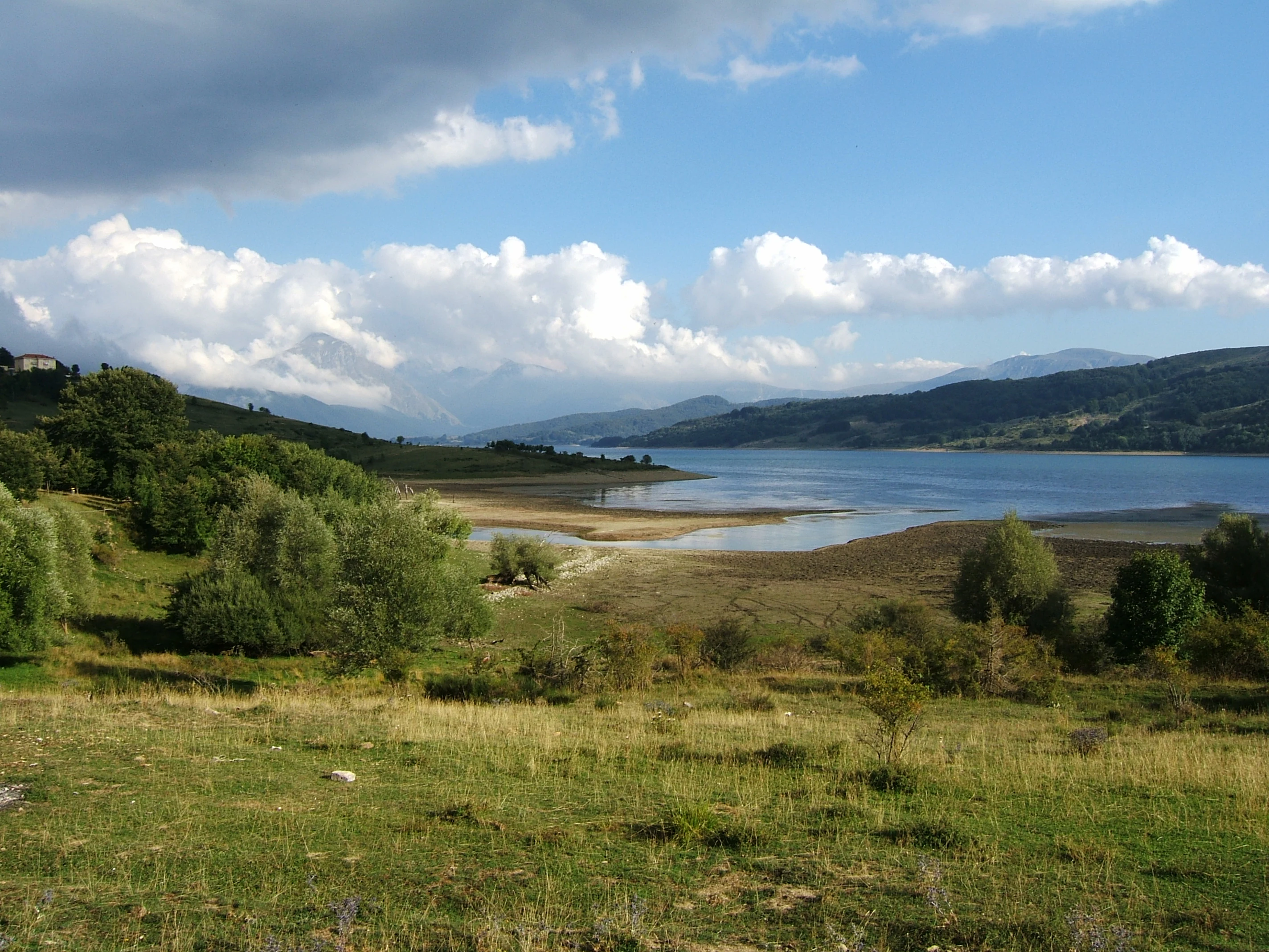 Grassy field, trees, and Lago di Campotosto lake with Gran Sasso mountains under partly cloudy sky