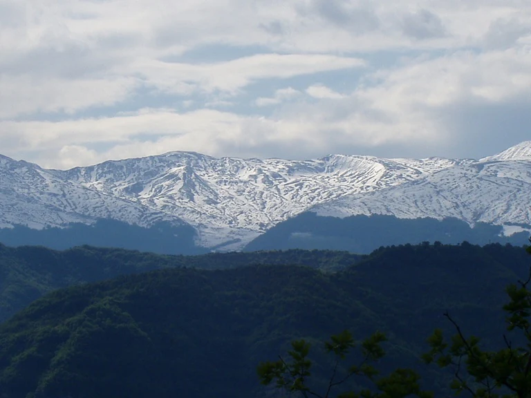 Snow-covered mountain peaks with forested lower slopes under a partly cloudy sky