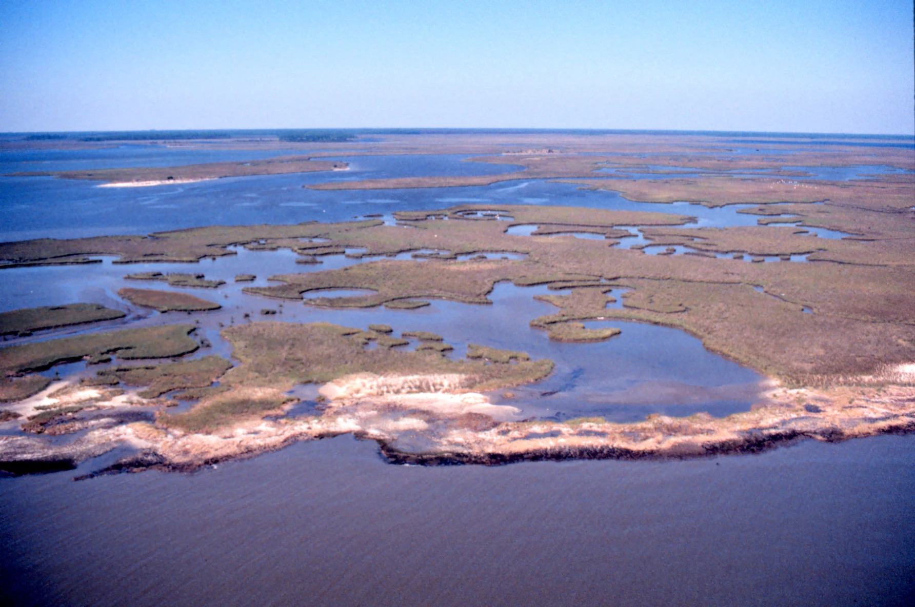 An aerial photograph of a vast, flat coastal marshland with meandering waterways and sandy shorelines under a clear blue sky.
