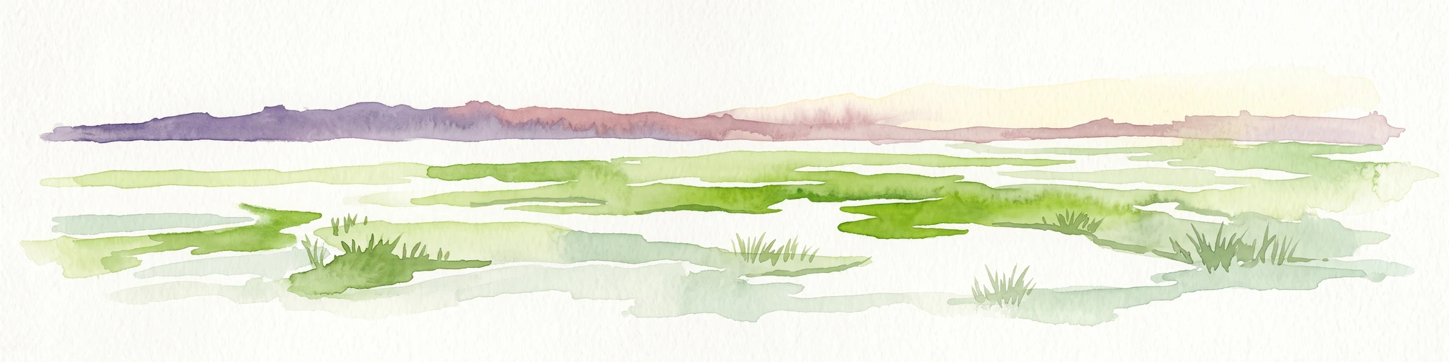 A horizontal watercolor painting depicting a flat, green coastal marsh with distant purple hills under a pale sky.