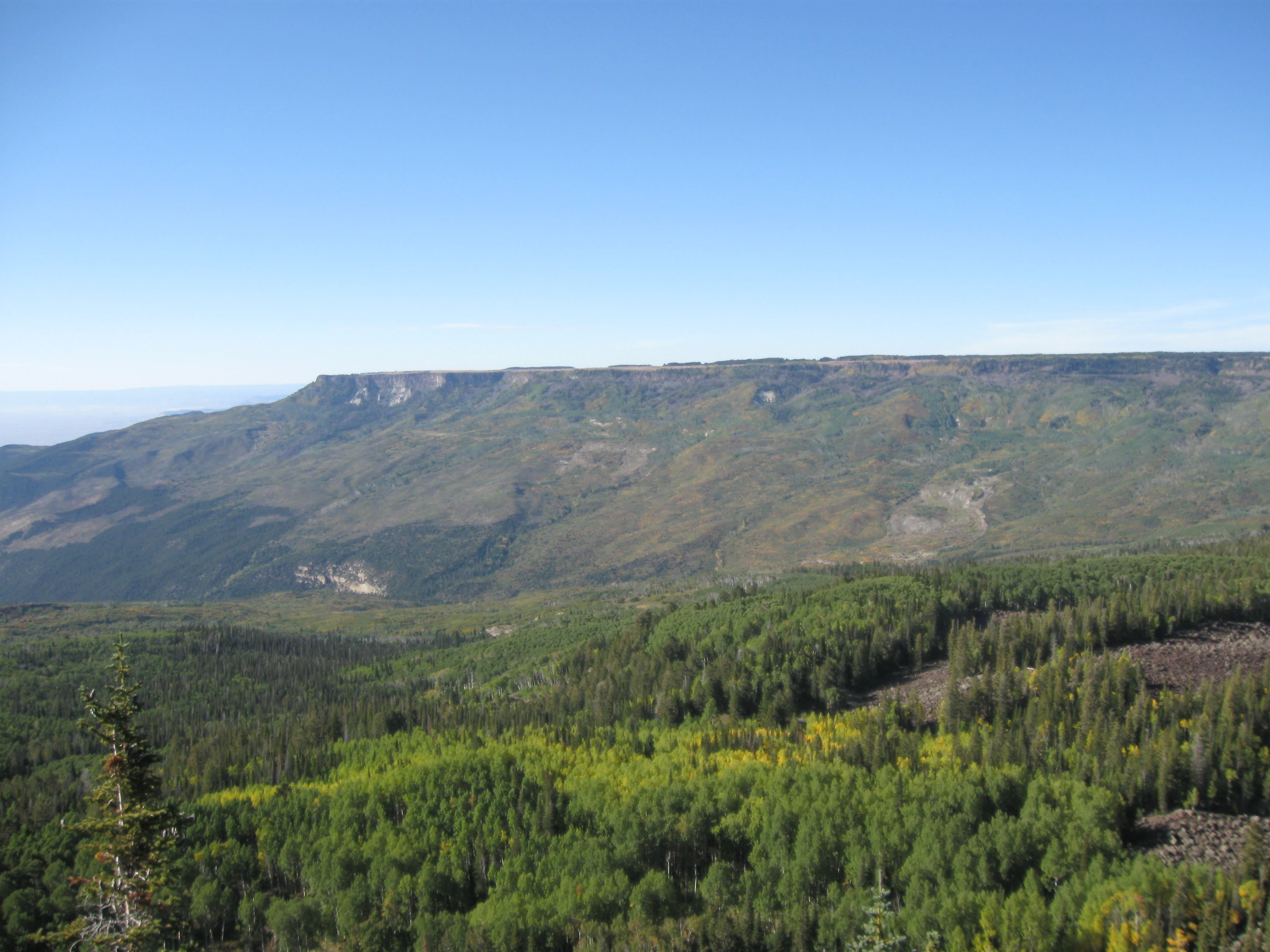 A wide, elevated landscape view featuring a large, flat topped mesa in the distance under a clear blue sky, with a vast coniferous and deciduous forest covering the foreground and midground.