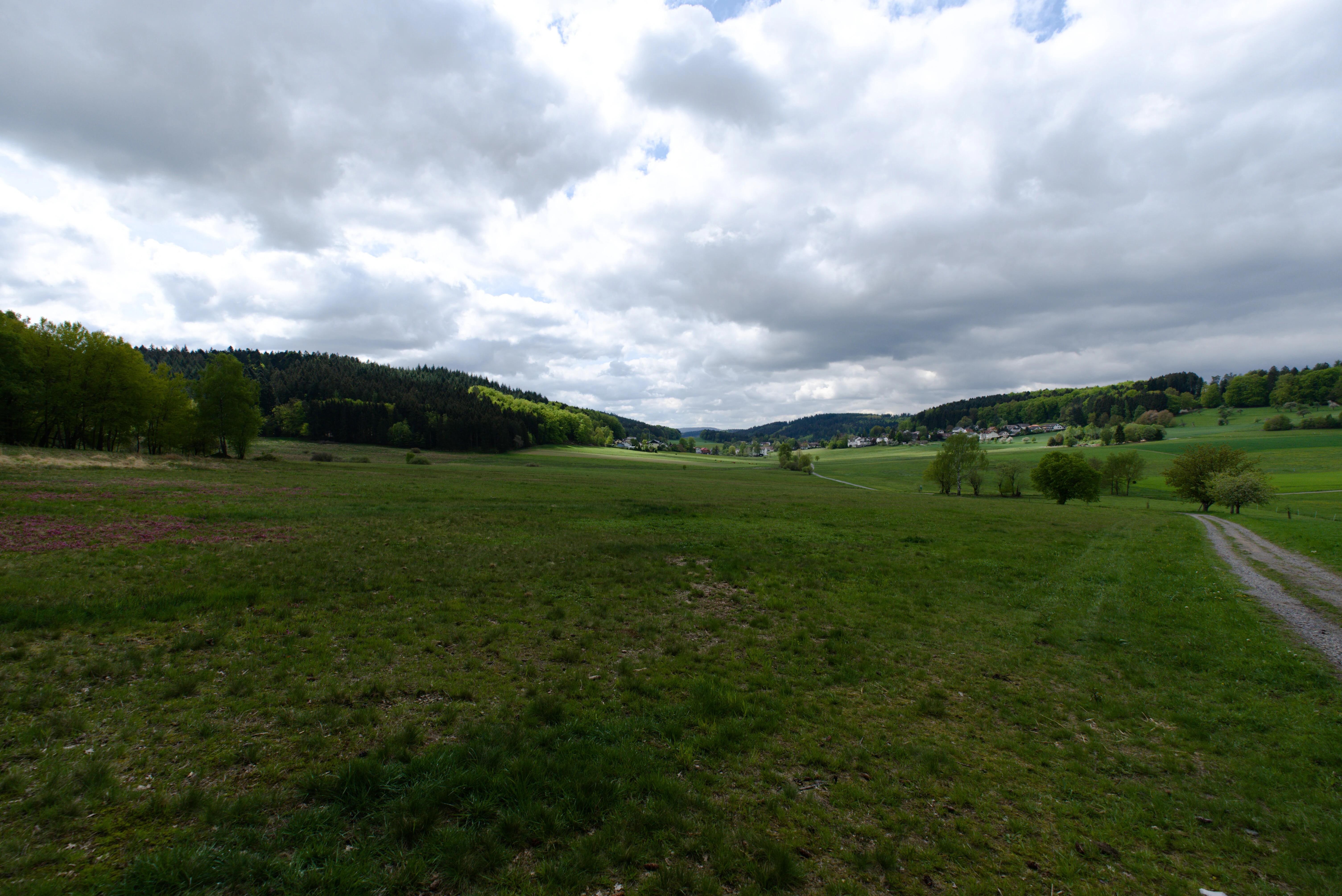 A wide landscape view of green meadows at Gras-Ellenbacher Wiesen in Germany under a cloudy sky, with a small trail on the right and forested hills in the distance.