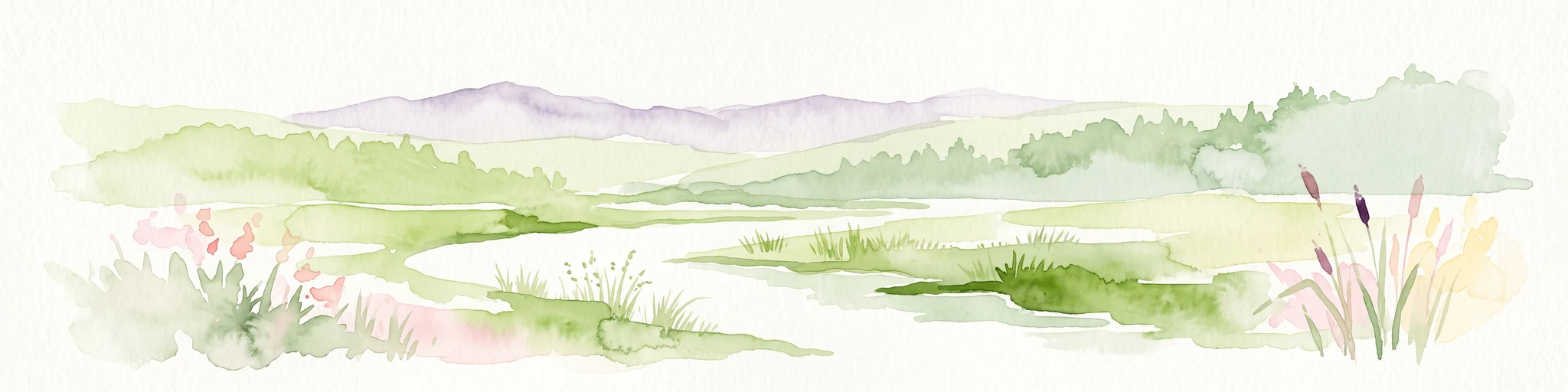 Watercolor painting of a lush green landscape featuring rolling hills in the distance, a meandering stream in the midground, and wetlands with cattails in the foreground.