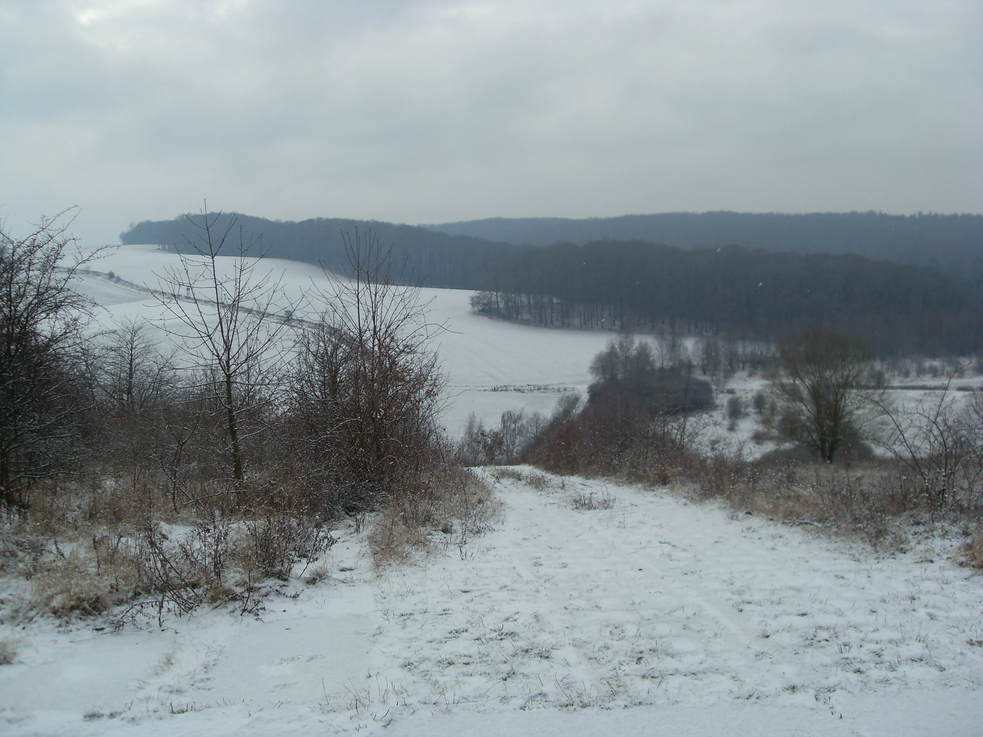 Former border near Ecklingerode