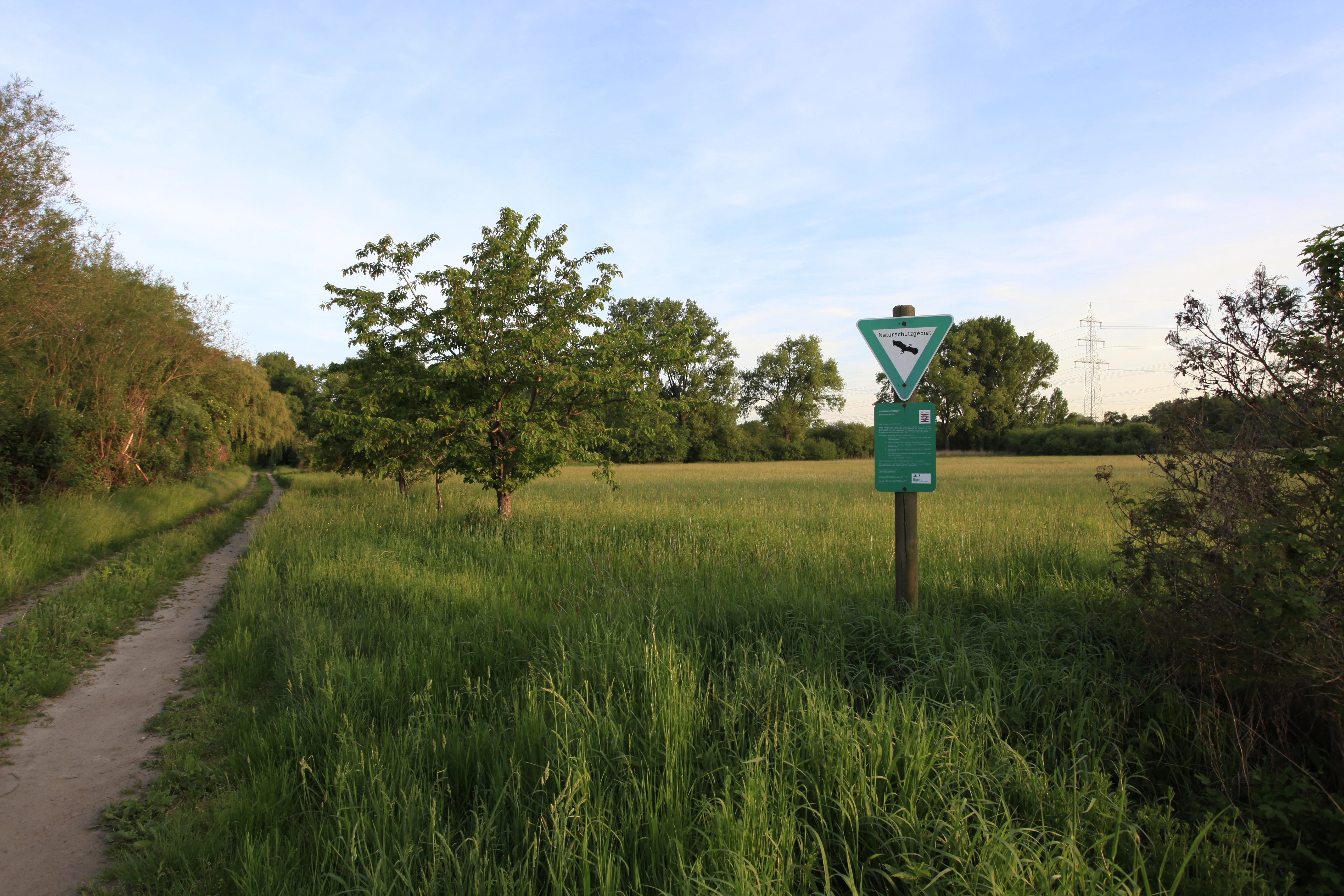 A nature reserve triangular sign on a post stands in a green field next to a dirt path, with trees and bushes in the background.