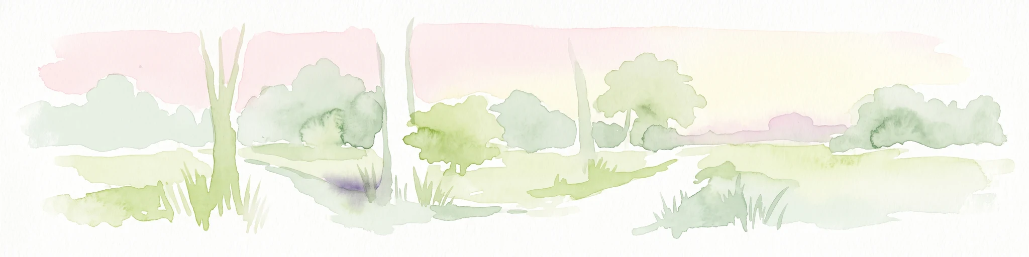 A horizontal watercolor illustration showing soft, muted green trees and shrubs against a light pink and pale yellow sky, representing a wetland landscape.