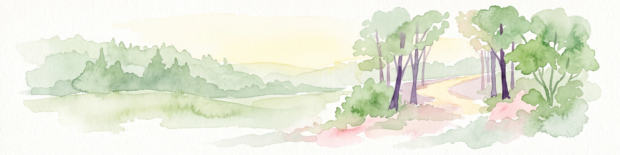 Watercolor illustration depicting a path through a green forest, with a pale meadow in the background.