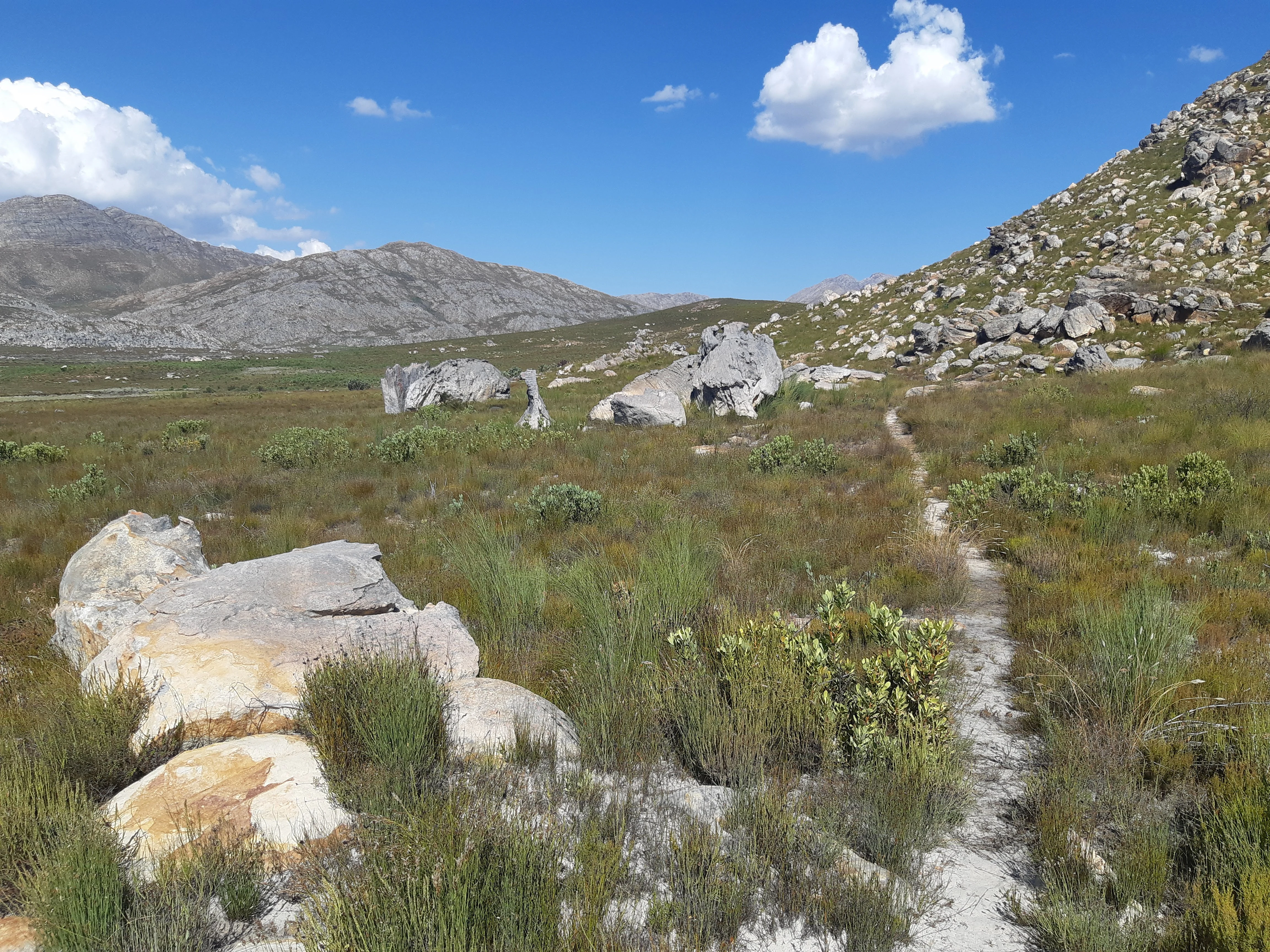 A dirt hiking trail leads through low-lying green shrubs and sparse vegetation with large, smooth boulders scattered across a mountain valley under a blue sky.