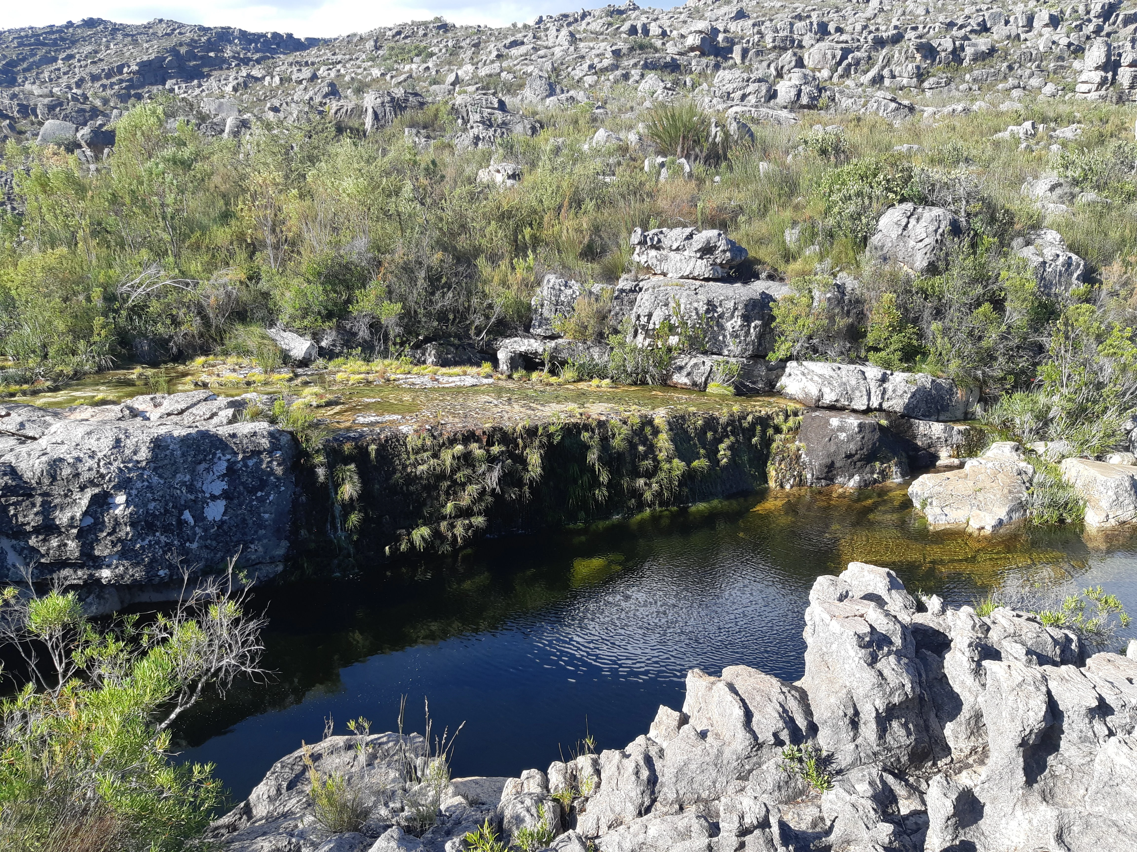 A small, dark natural rockpool nestled in a rugged landscape of grey boulders and green fynbos vegetation.