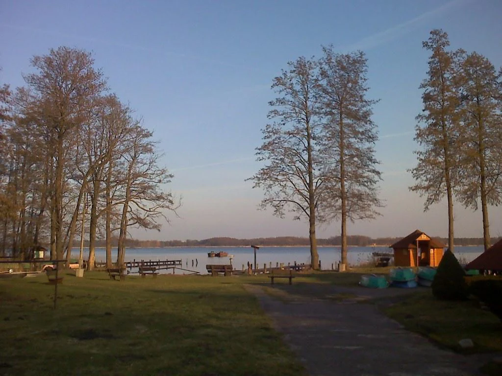 A lakeshore scene featuring tall deciduous trees, a wooden structure, a small pier, and benches overlooking the water at sunset.