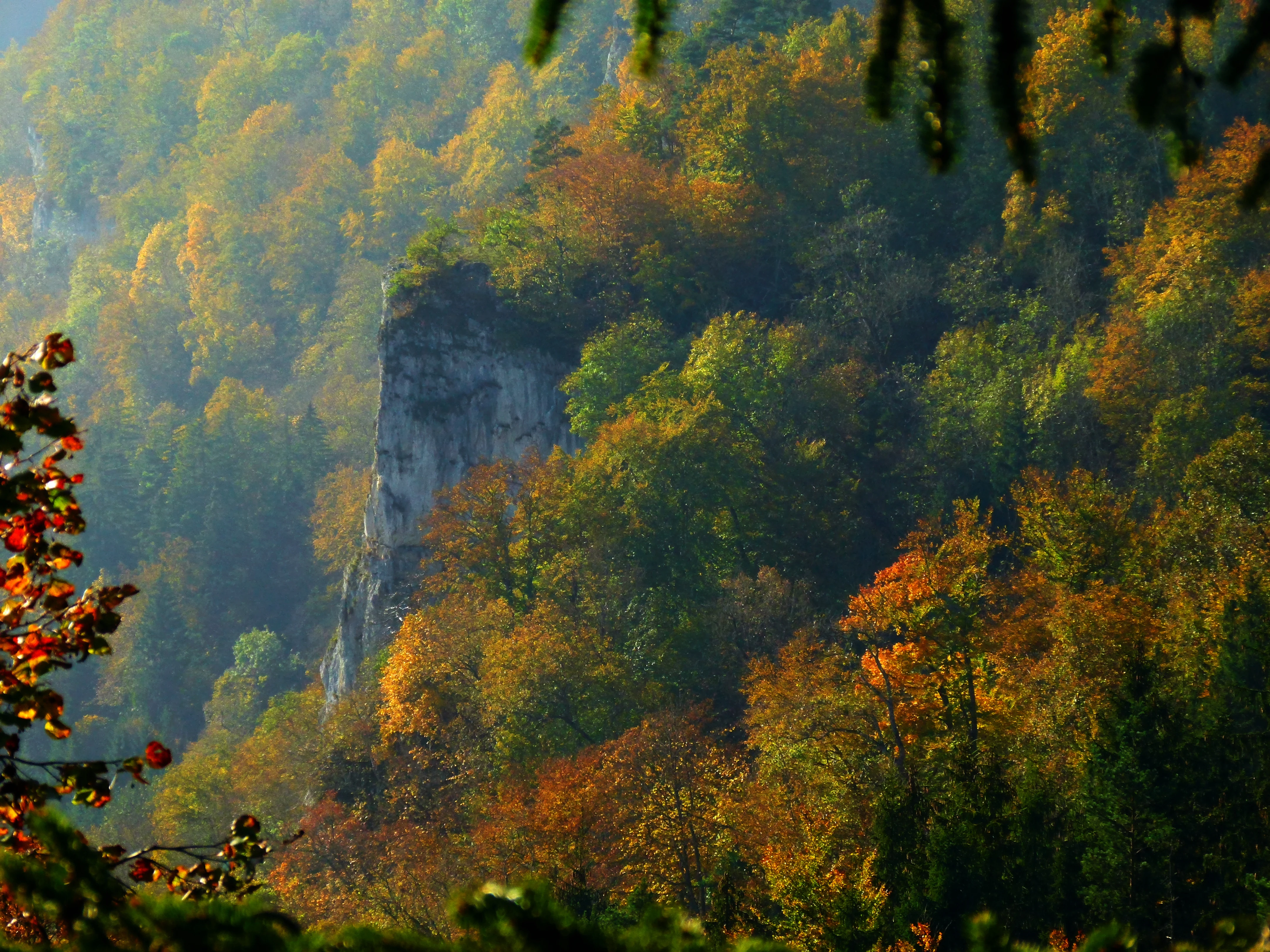 A steep, light-colored limestone rock formation rising out of a dense, colorful deciduous forest during autumn.