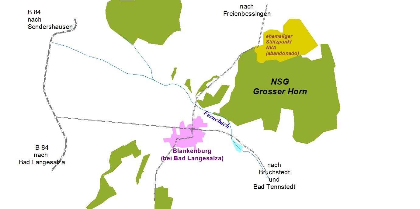 A digital map illustrating the geographic boundaries of the NSG Grosser Horn nature reserve, including adjacent roads, local towns like Blankenburg, and water features.