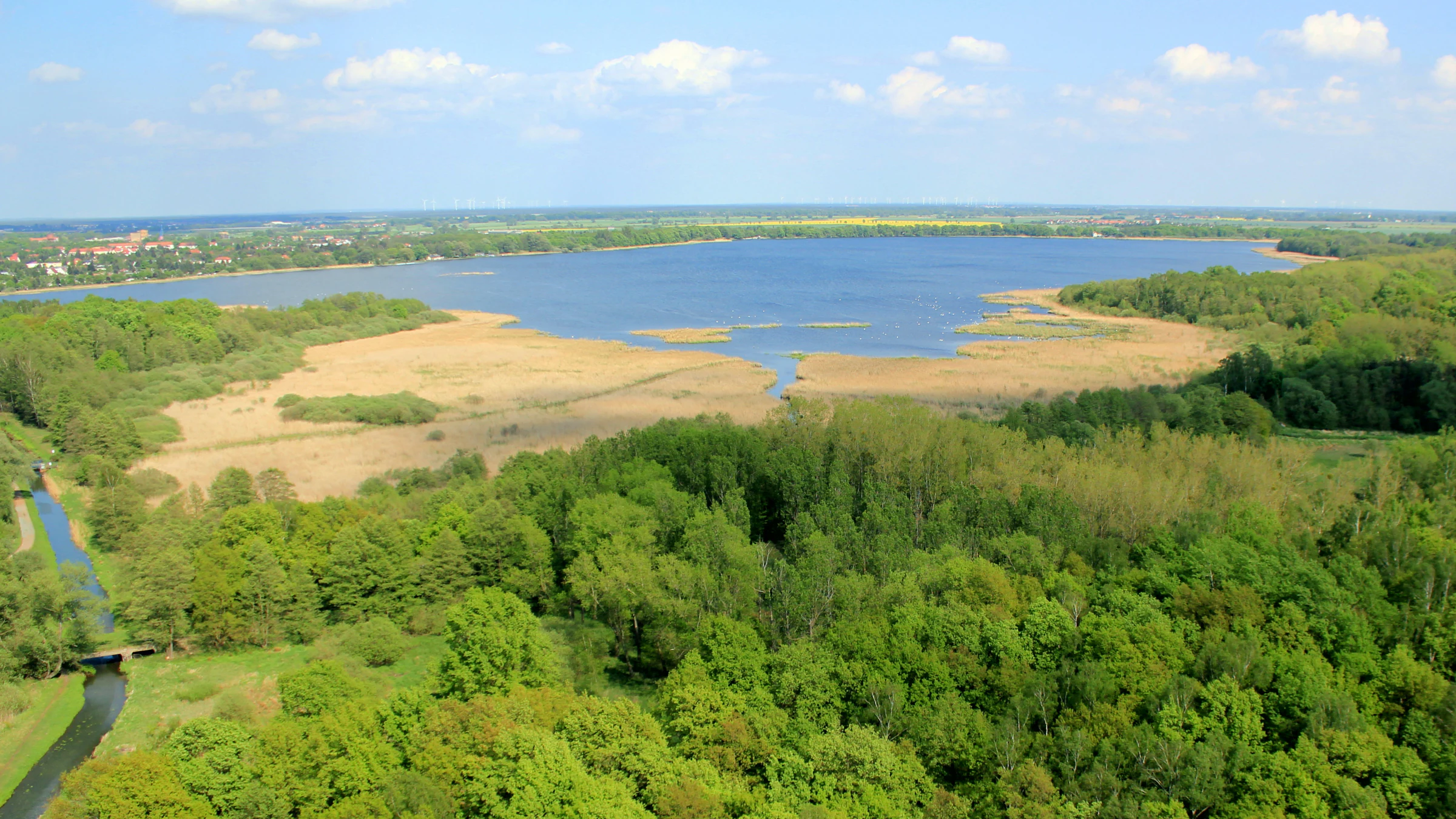 An aerial view showing a large lake surrounded by dense green forest and marshy yellow reeds.