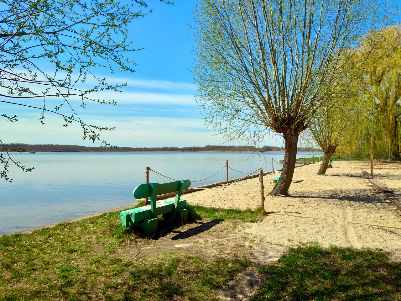 A green wooden park bench sits on the grassy bank beside a sandy beach bordering a calm, expansive lake under a clear blue sky, with willow trees standing along the shoreline.