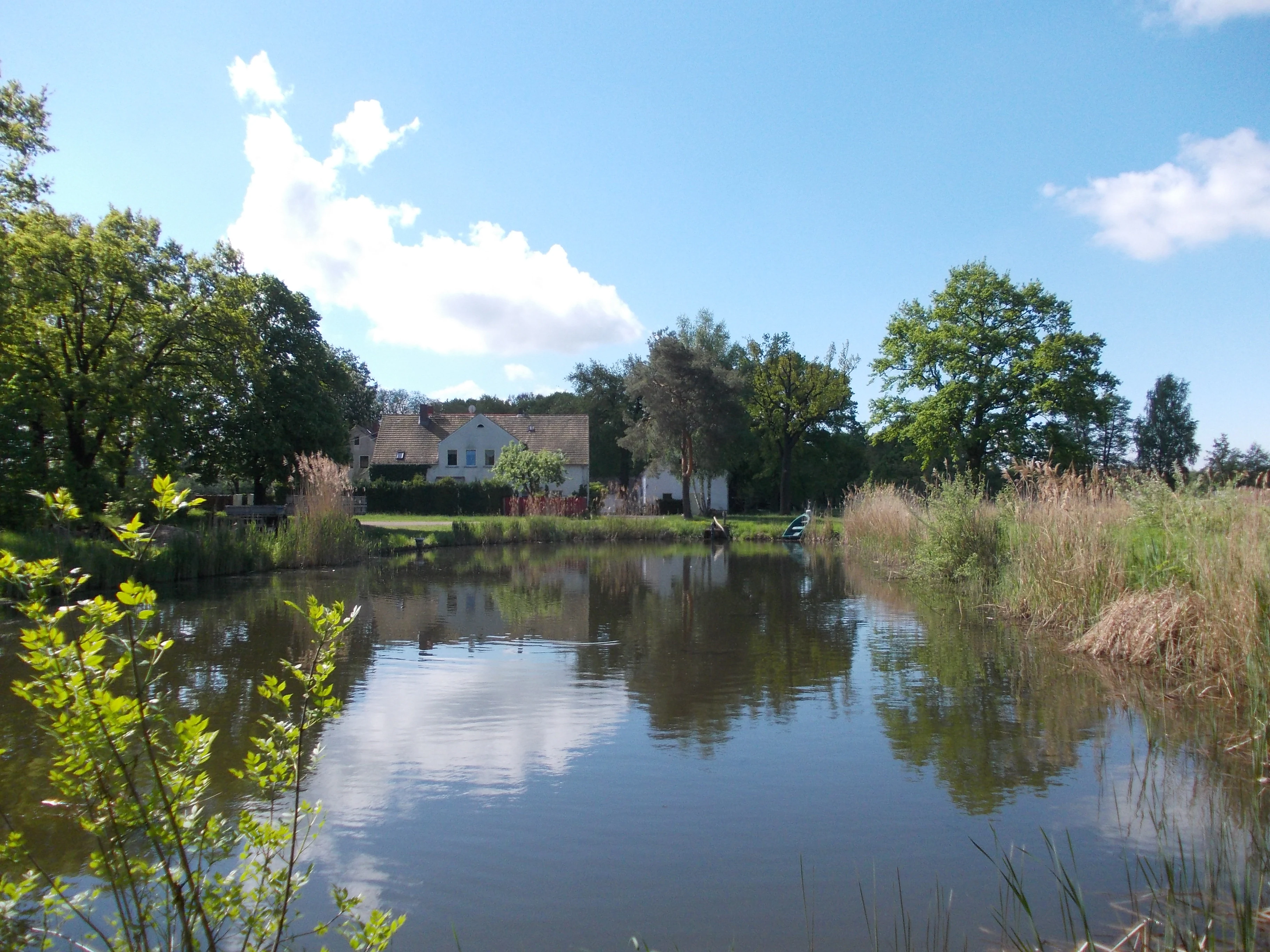 A peaceful lake surrounded by tall reeds and trees, with a white farmhouse-style building in the background under a blue sky with light clouds.