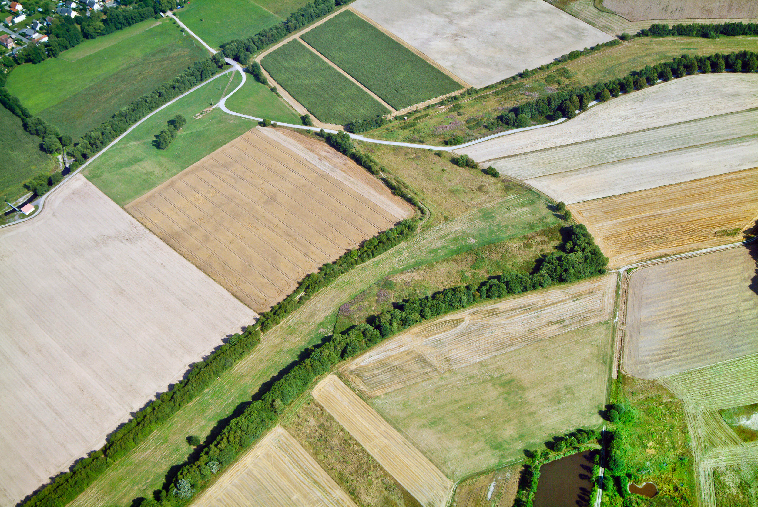 Aerial view of a thin, winding band of green vegetation and shrubs separating agricultural fields near Föritz-Mupperg, Germany.
