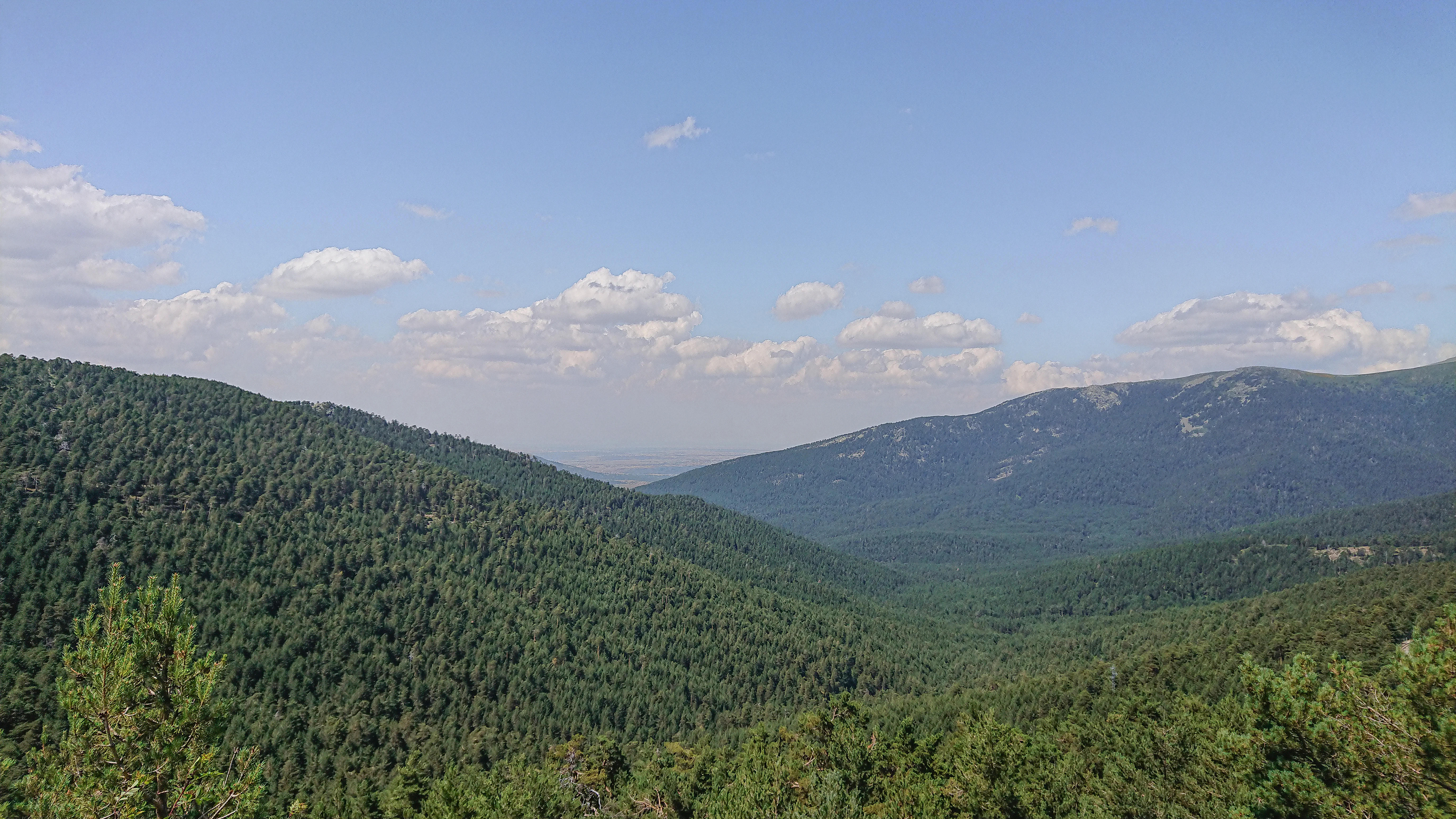 Panoramic view of forested mountain ranges with scattered clouds in the sky