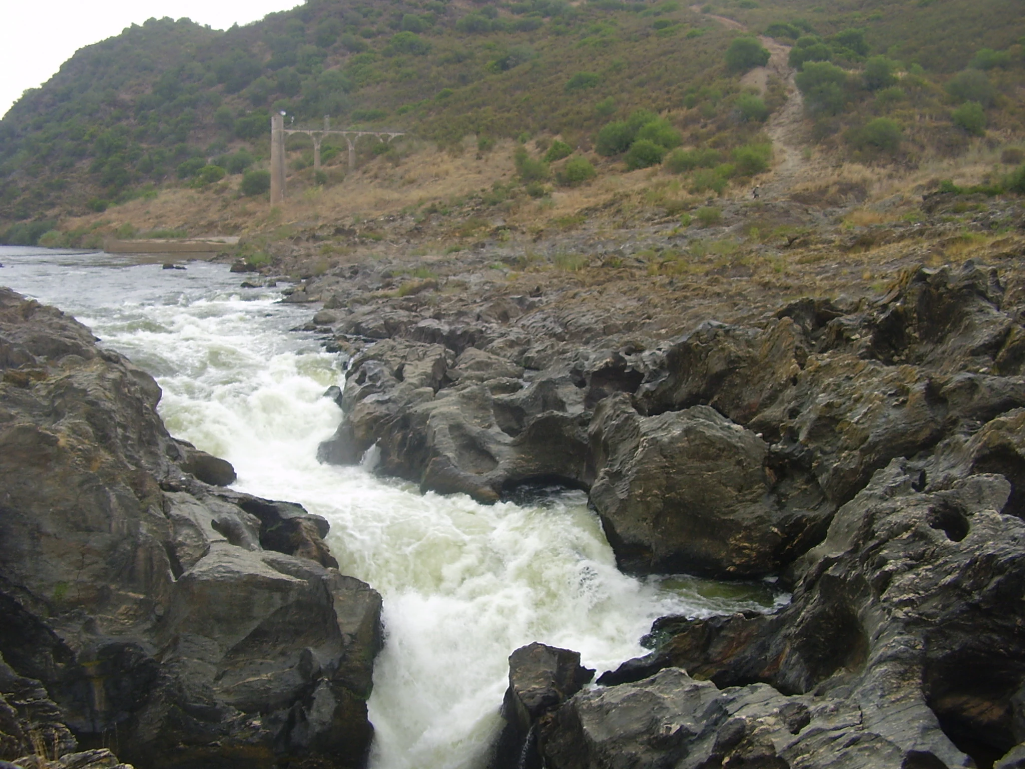 River flowing over rocks creating a waterfall in a natural park setting